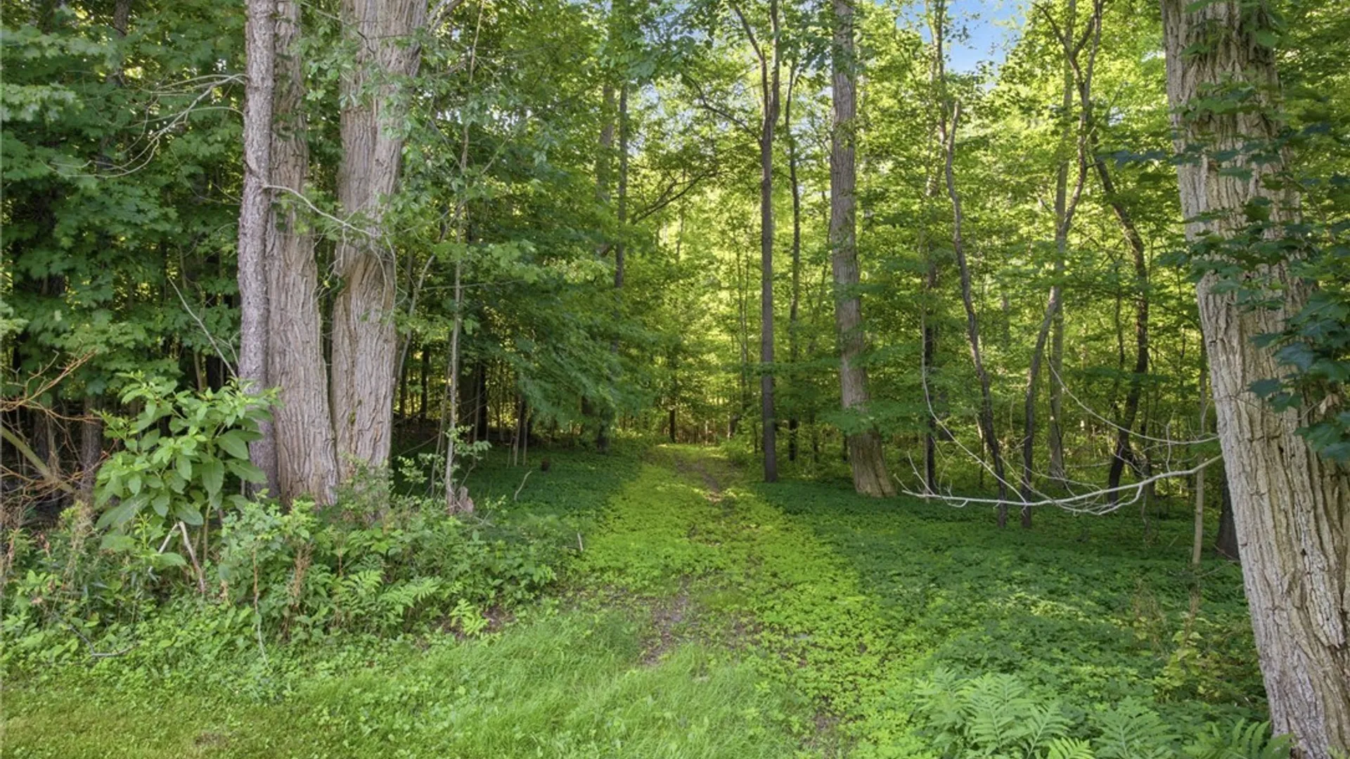 Property at 8327 Indian Falls Road, Pembroke, NY 14036 28