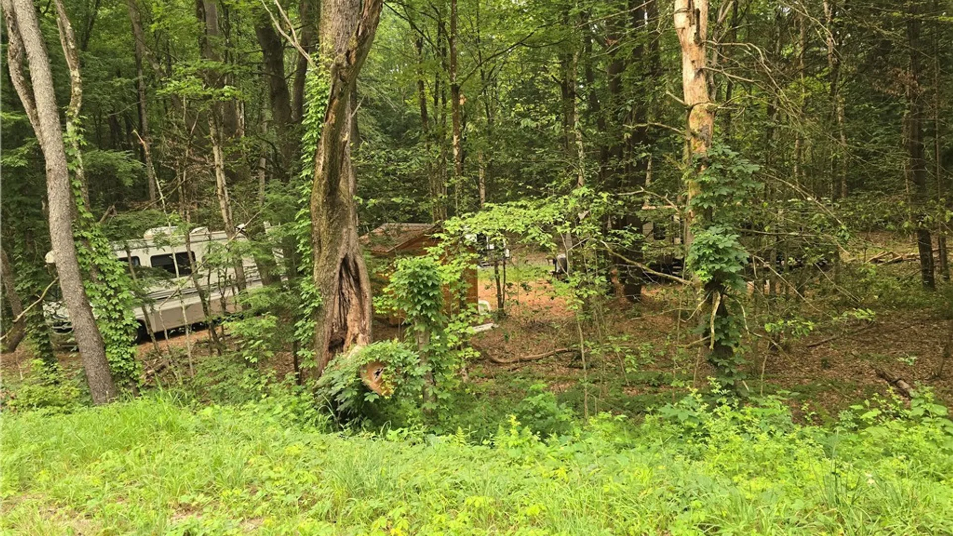 Property at 8376 Dixon Road, Vienna, NY 13316 2