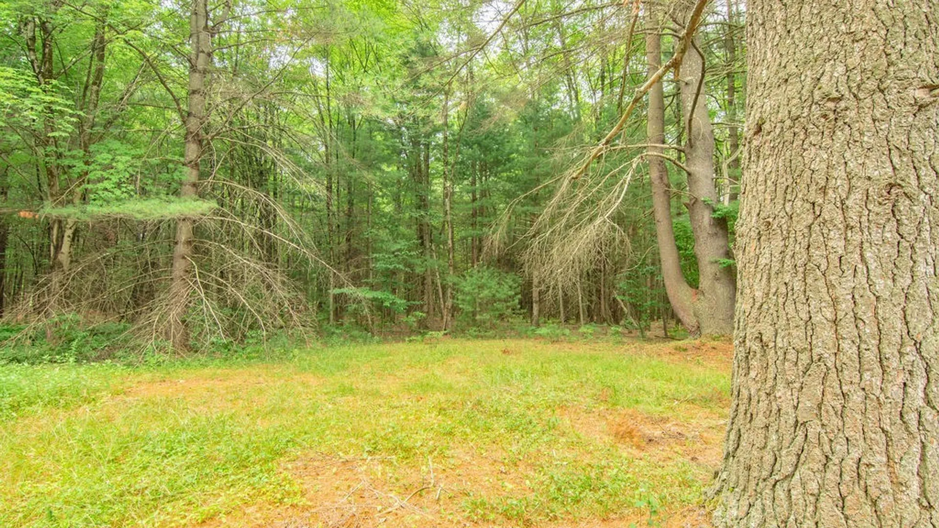 Property at 38 County Route 84, West Monroe, NY 13167 38