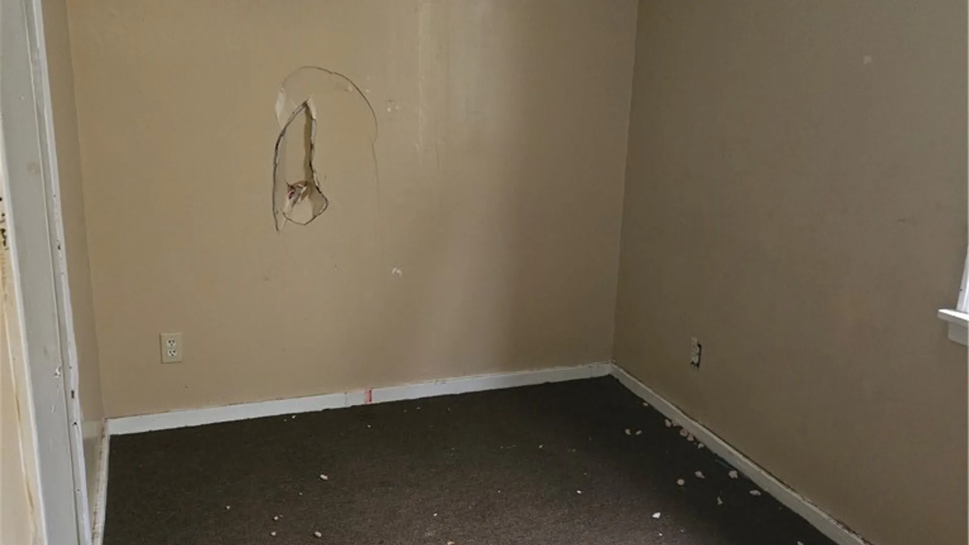 Property at 103 Mayer Avenue, Buffalo, NY 14207 8