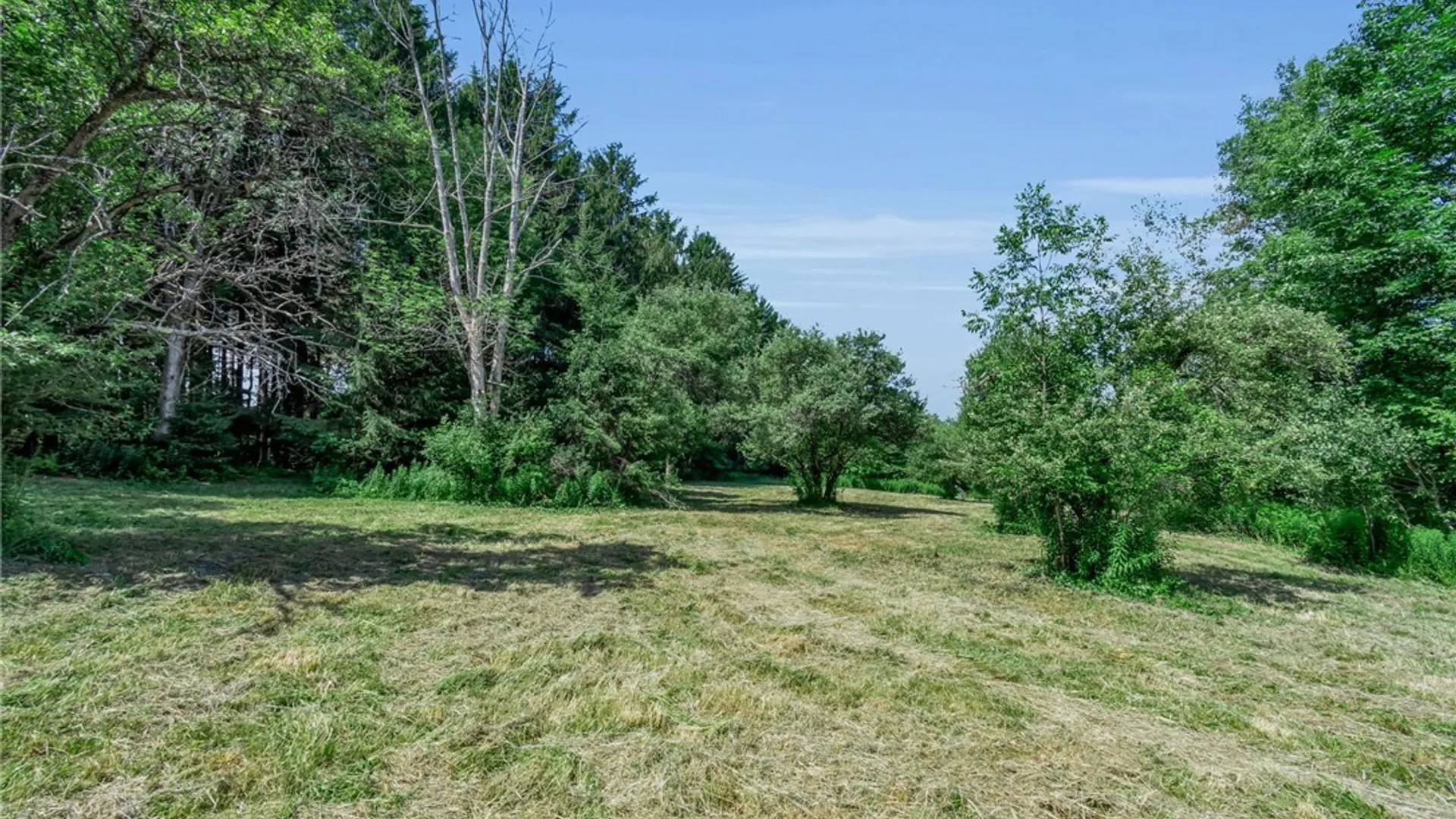 Property at 36 Freedom Road, Freedom, NY 14065 44