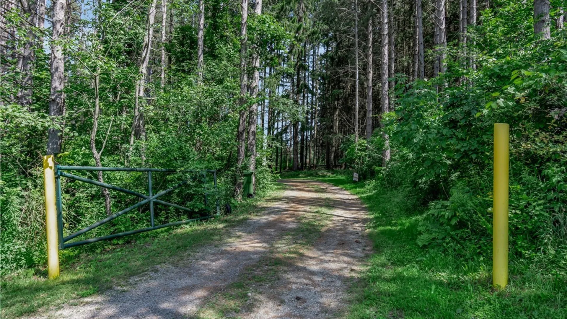 Property at 36 Freedom Road, Freedom, NY 14065 50