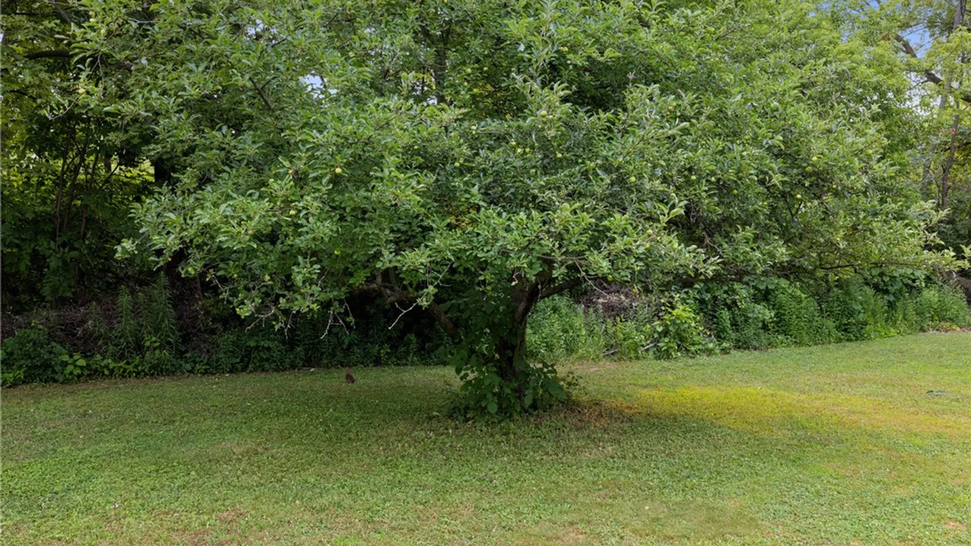 Property at 398 Trimmer Road, Parma, NY 14559 37