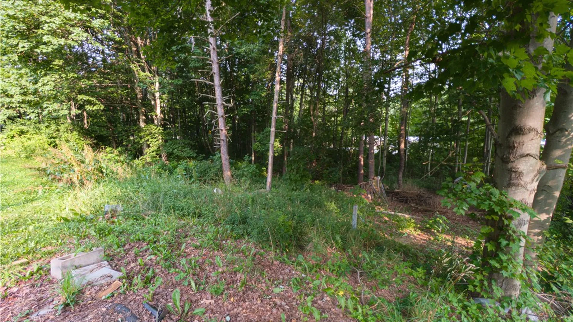 Property at 8699 Mattoon Road, Cohocton, NY 14826 31