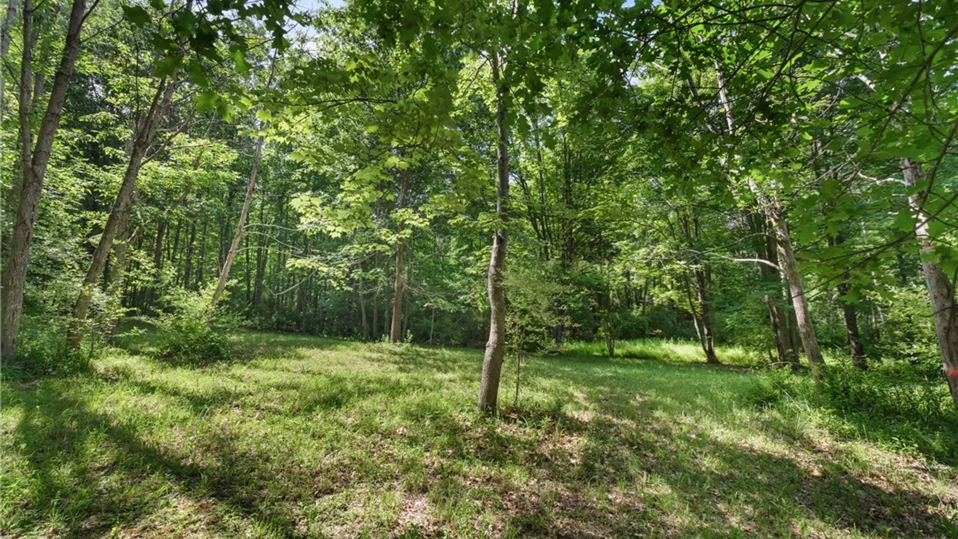 Property at 5347 Dutch Street, Barrington, NY 14837 38