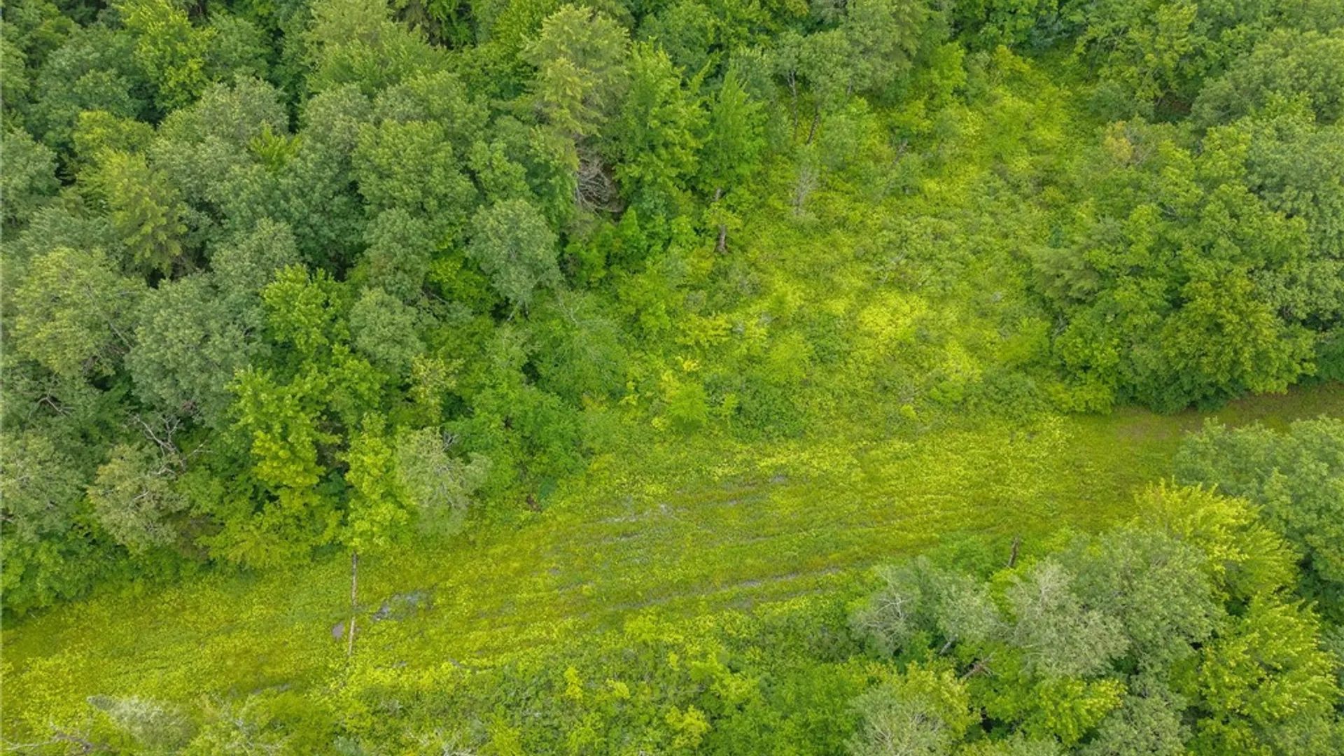 Property at 297 North Road, Jefferson, NY 12093 44