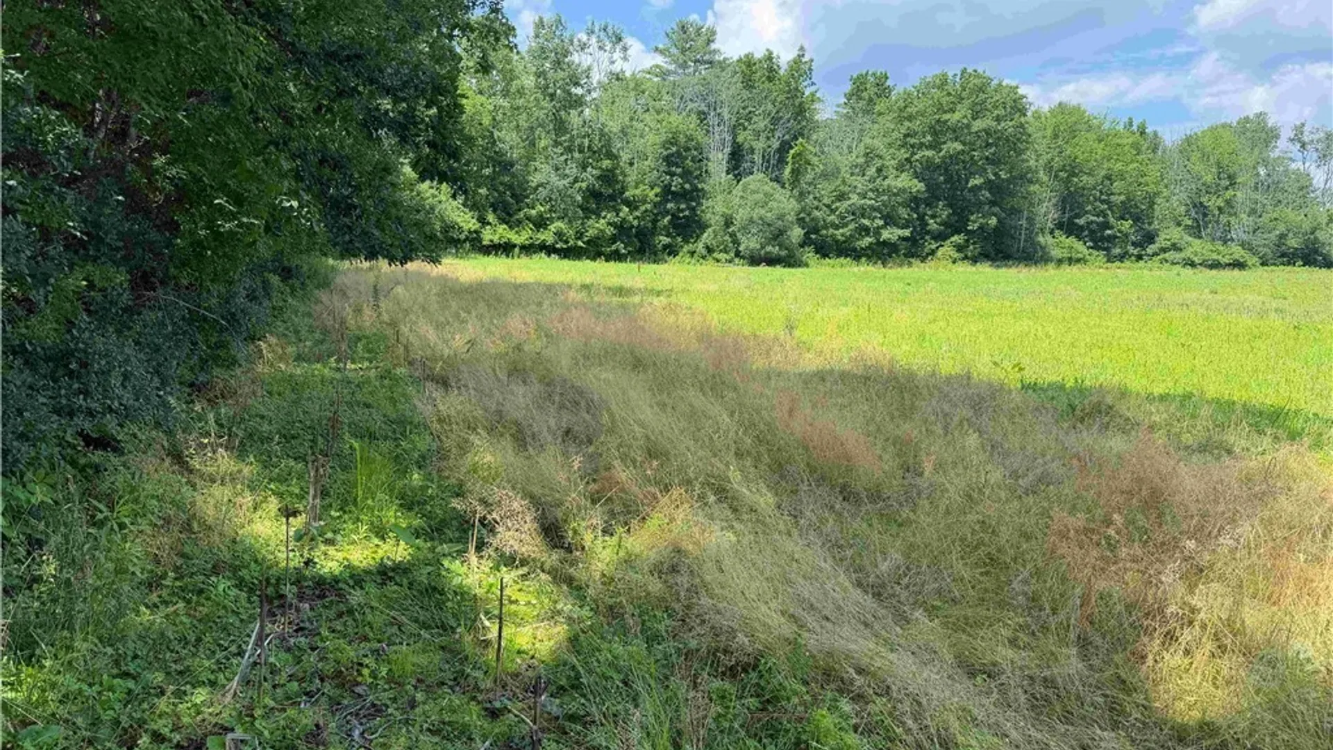 Property at Cr-17, Belfast, NY 14711 3