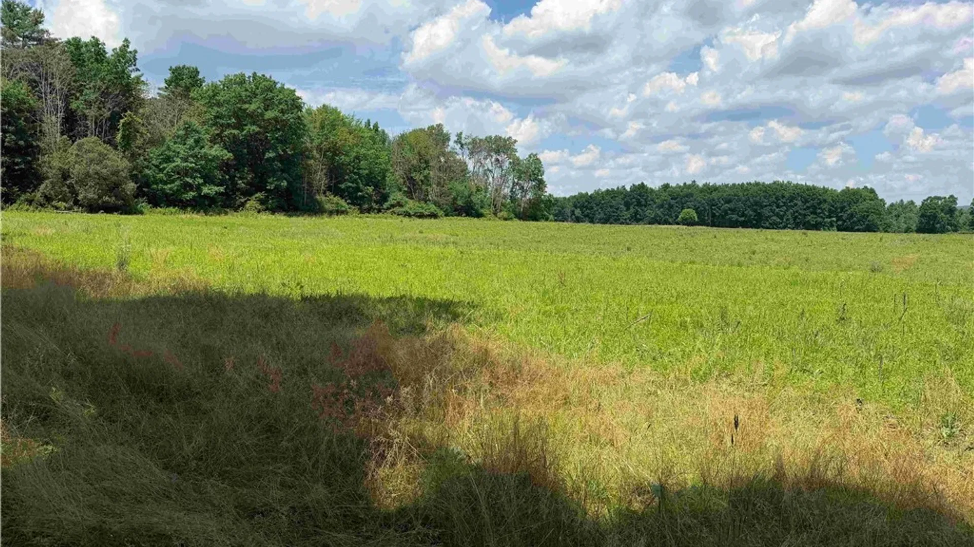 Property at Cr-17, Belfast, NY 14711 4