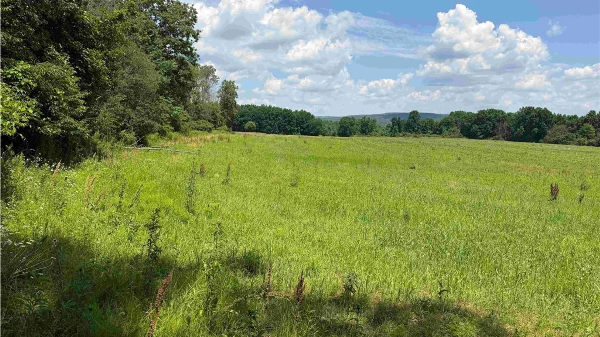 Property at Cr-17, Belfast, NY 14711 5