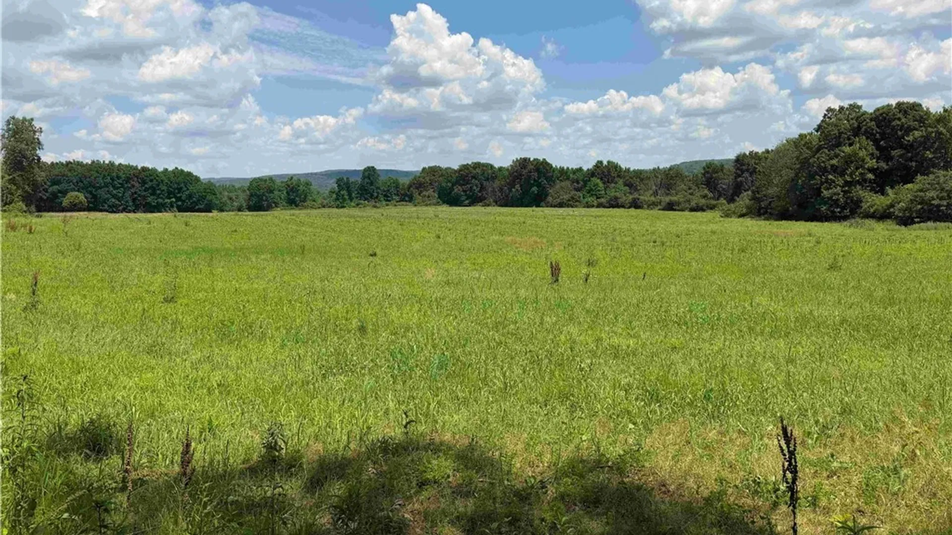 Property at Cr-17, Belfast, NY 14711 7