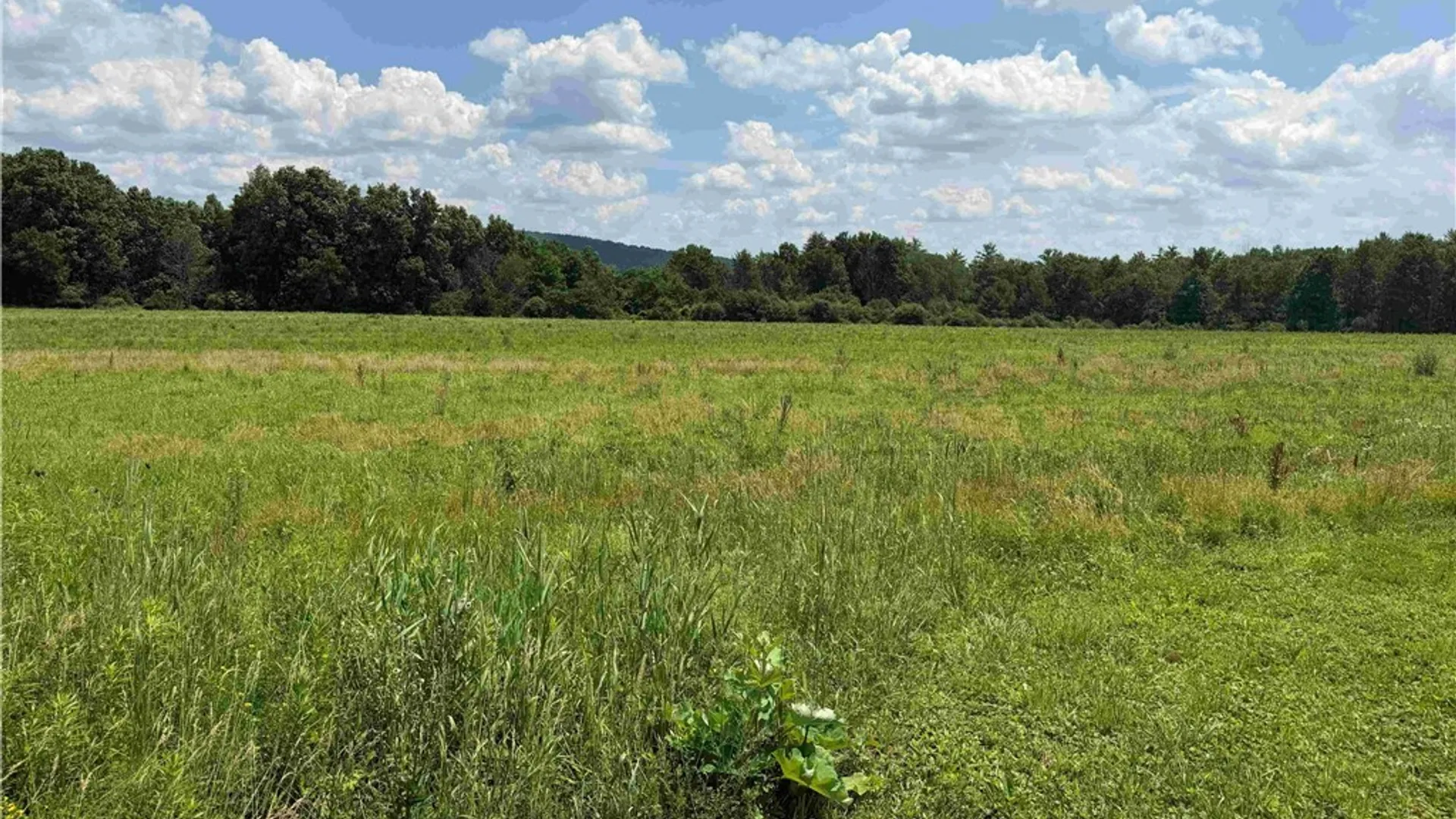 Property at Cr-17, Belfast, NY 14711 8