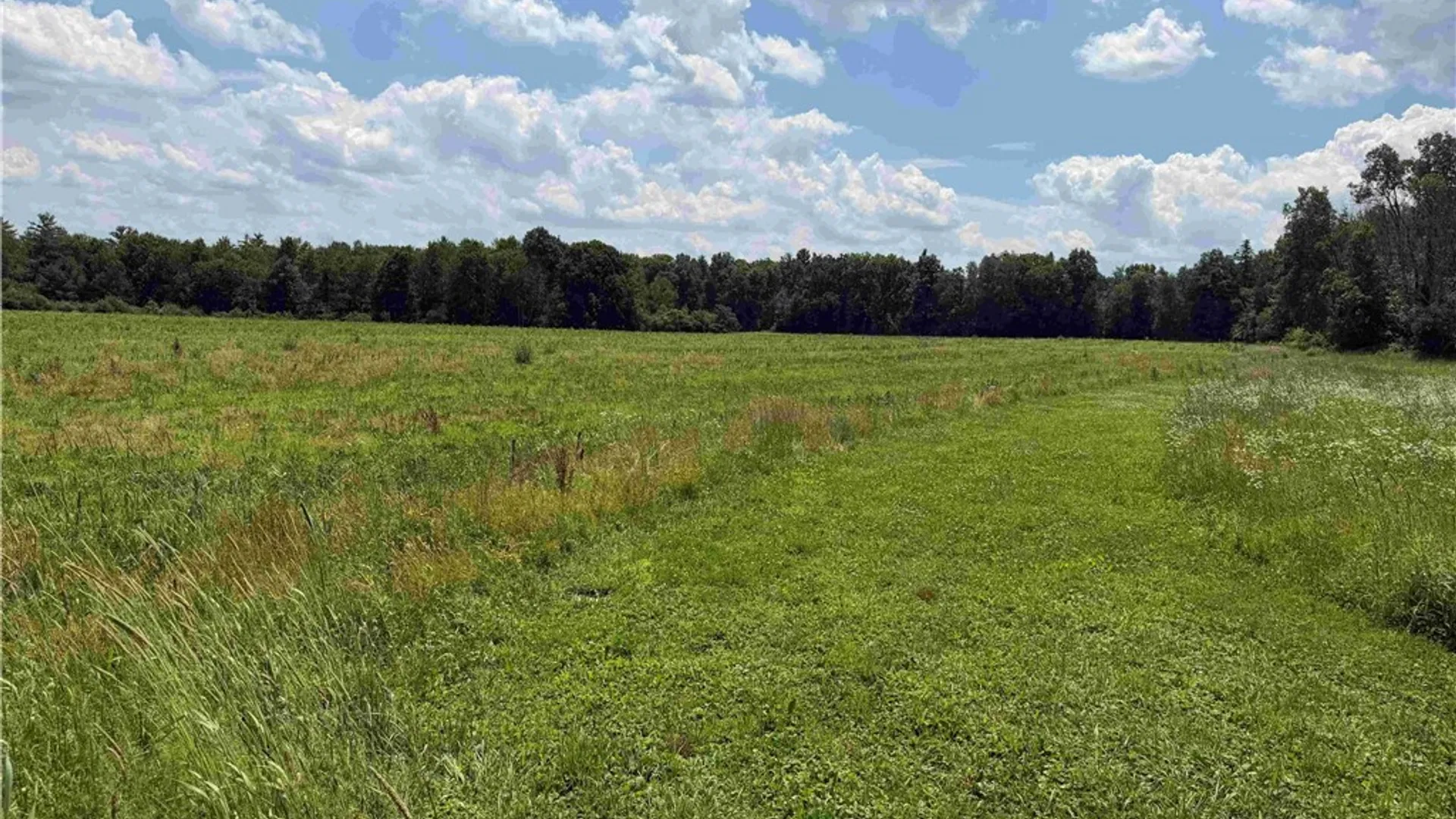 Property at Cr-17, Belfast, NY 14711 9