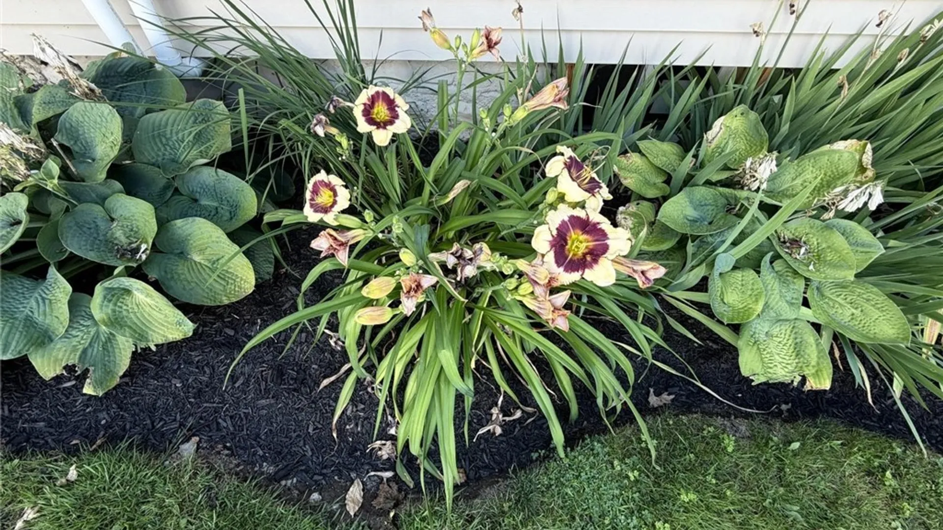 Property at 15 Harrington Avenue, Cortland, NY 13045 3