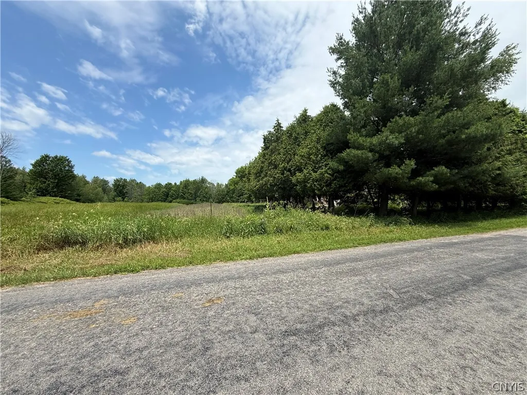 Property at 363 East Road, De Peyster, NY 13654