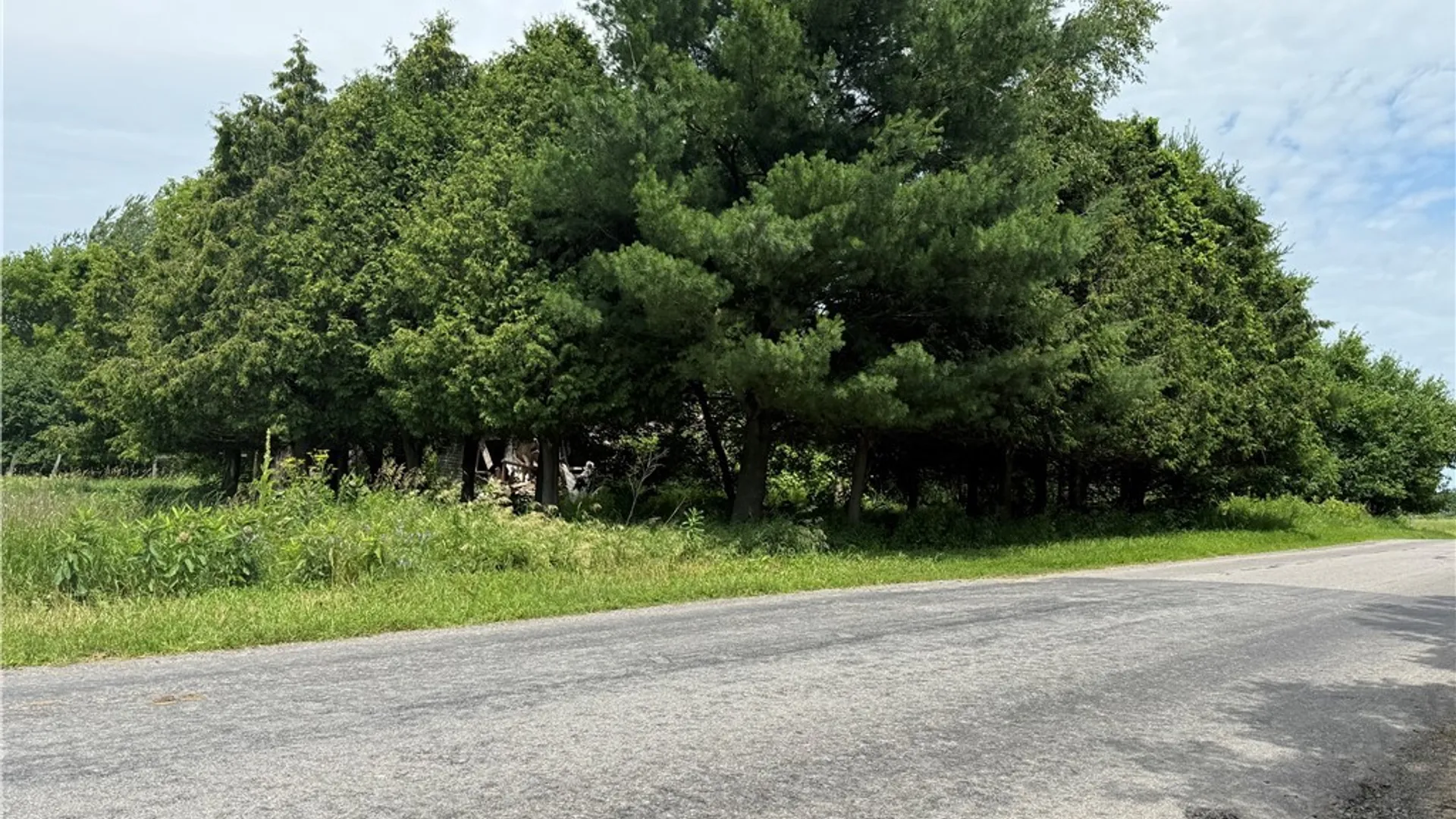 Property at 363 East Road, De Peyster, NY 13654 9