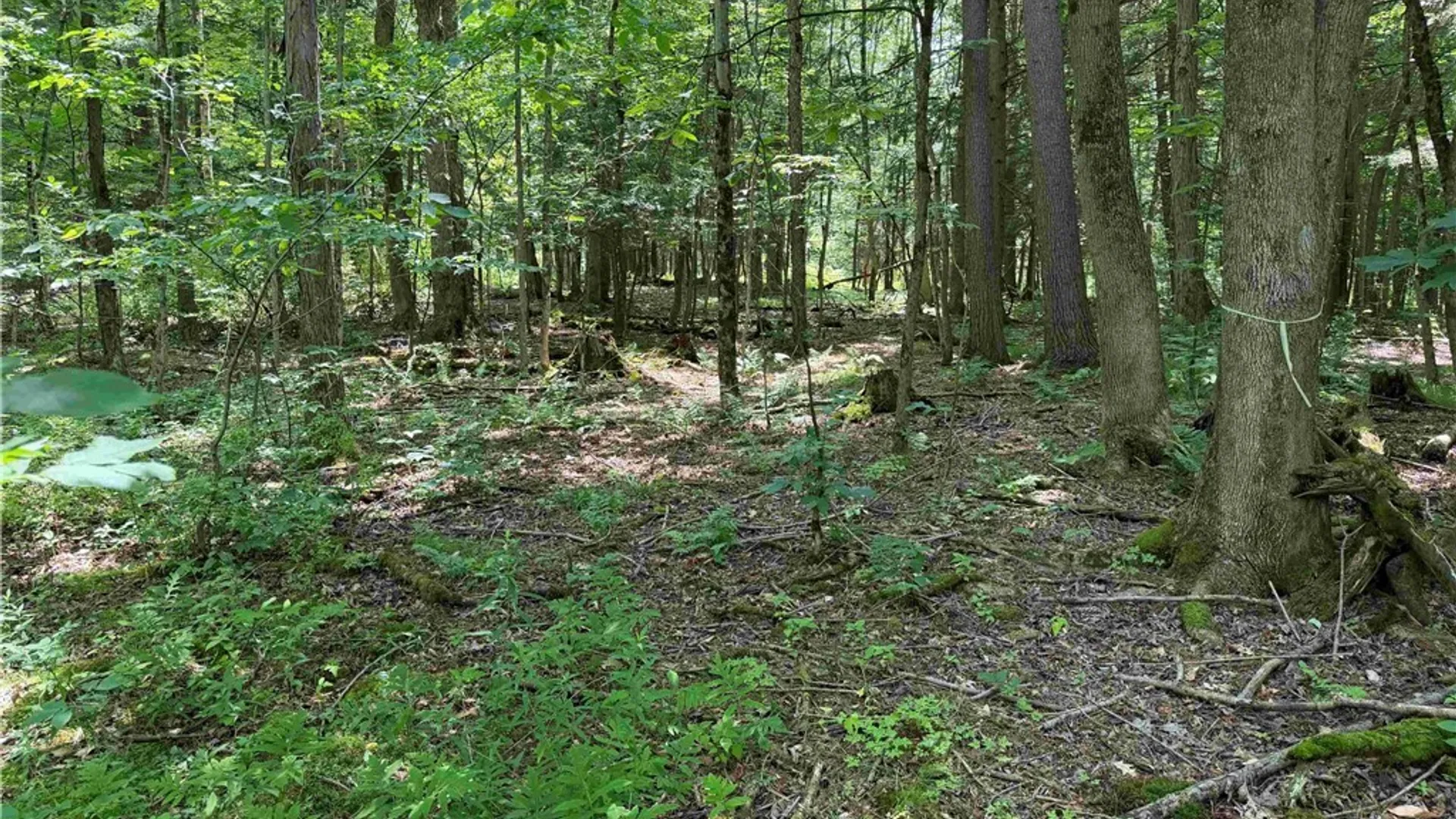 Property at Cr-17, Belfast, NY 14711 11