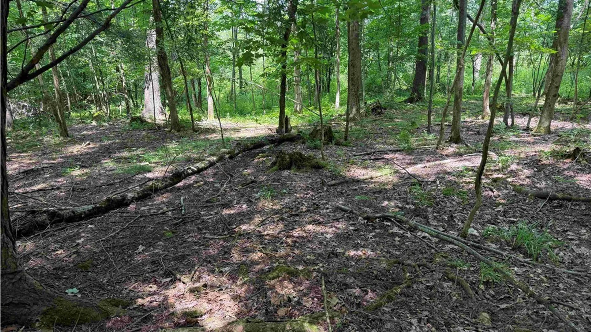 Property at Cr-17, Belfast, NY 14711 12