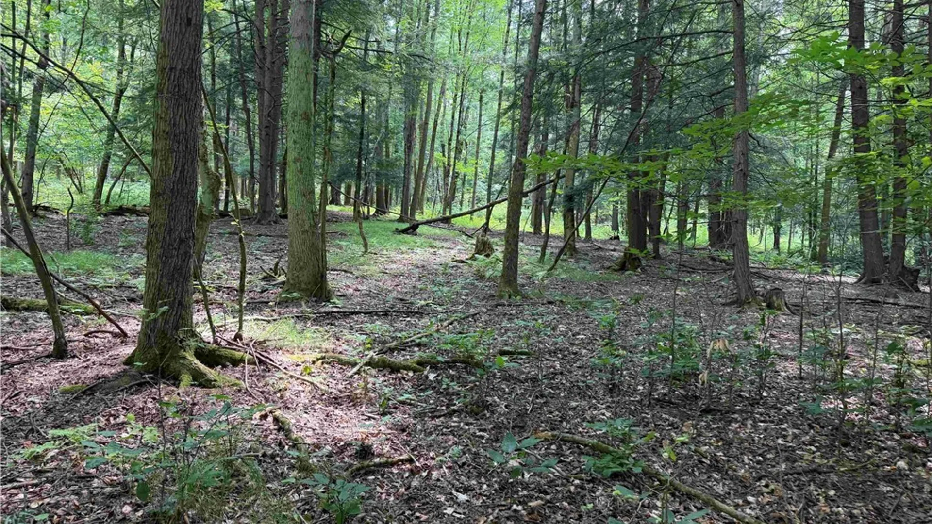 Property at Cr-17, Belfast, NY 14711 13