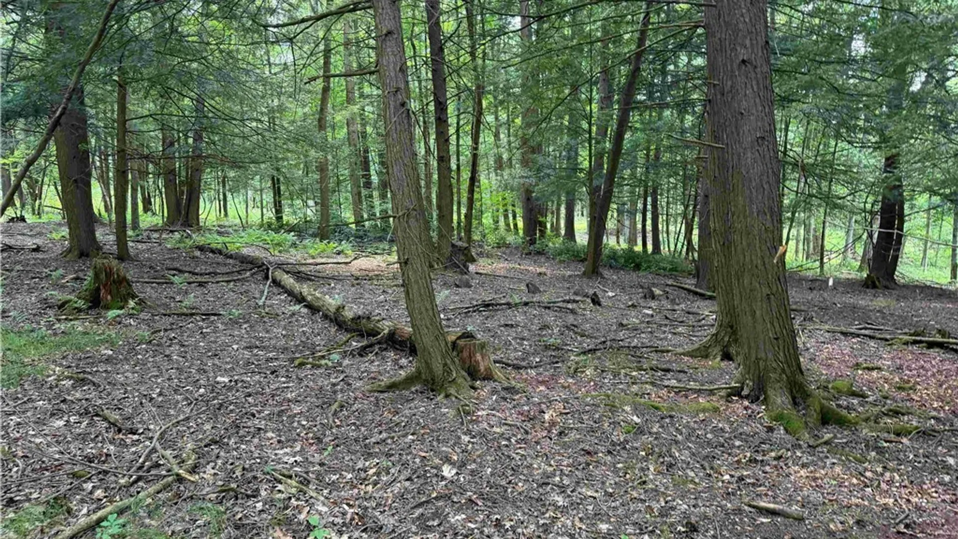 Property at Cr-17, Belfast, NY 14711 14