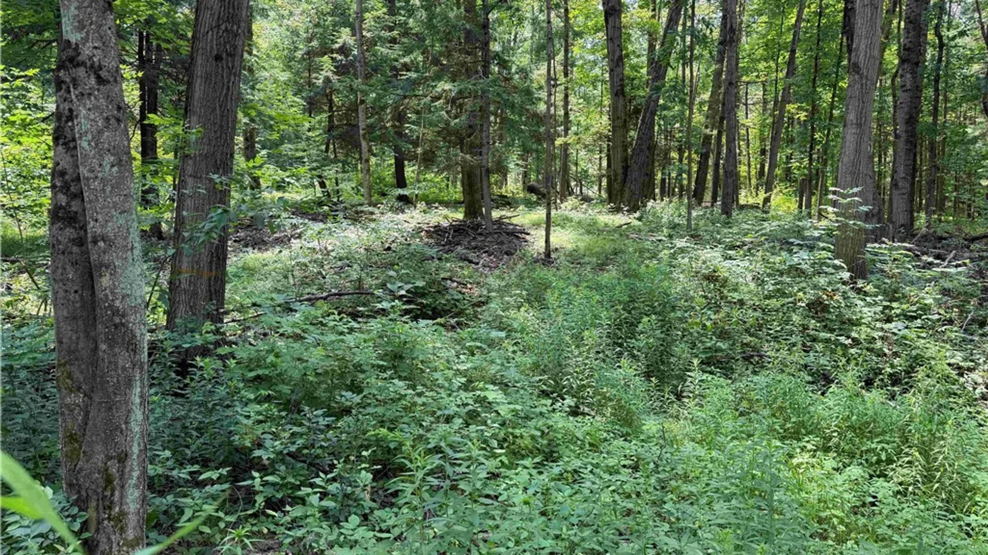 Property at Cr-17, Belfast, NY 14711 17