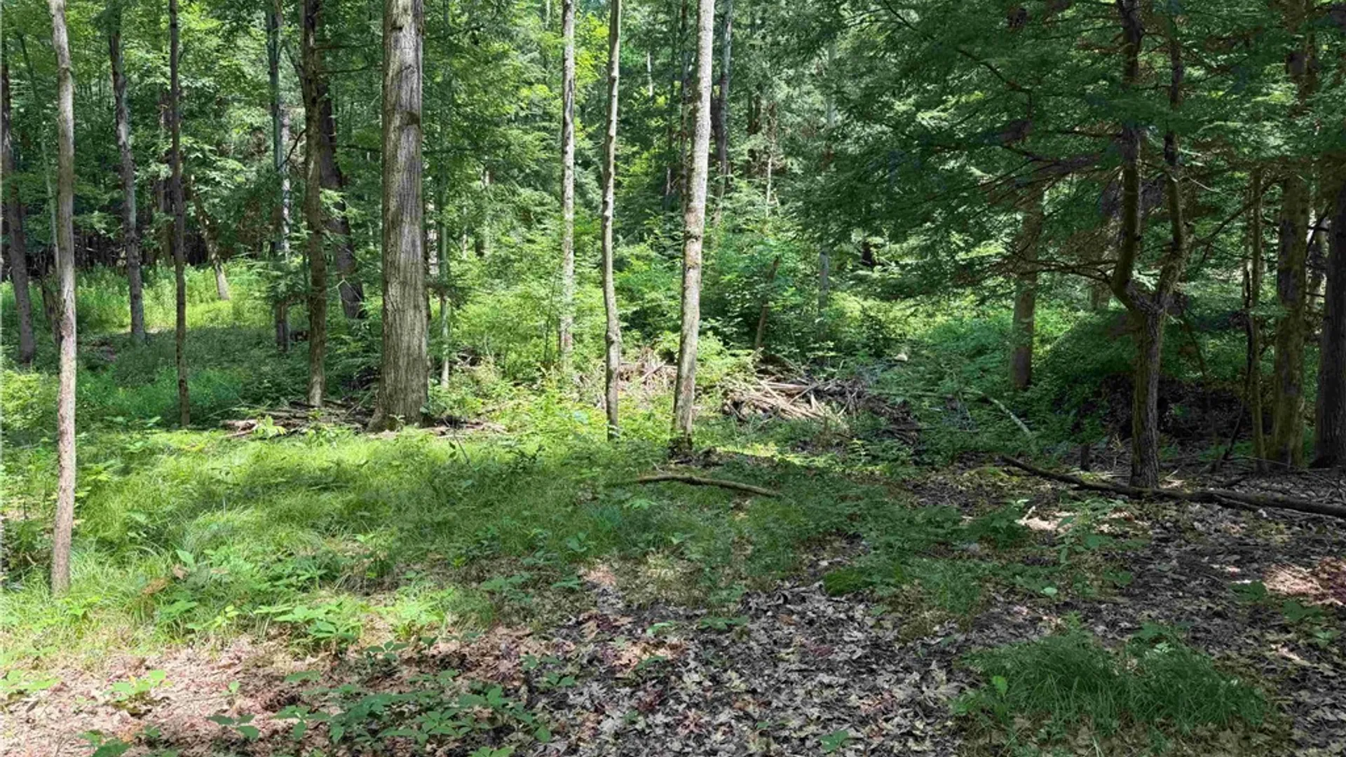 Property at Cr-17, Belfast, NY 14711 19