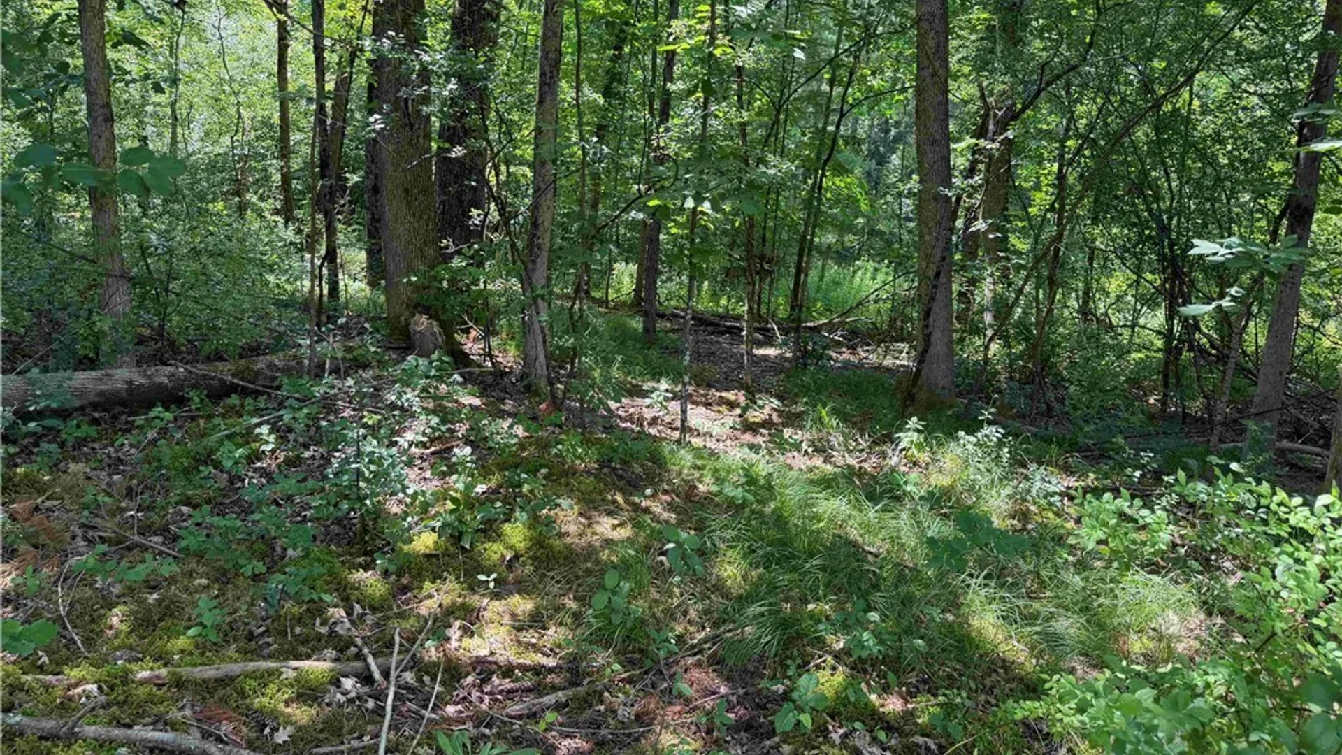 Property at Cr-17, Belfast, NY 14711 7