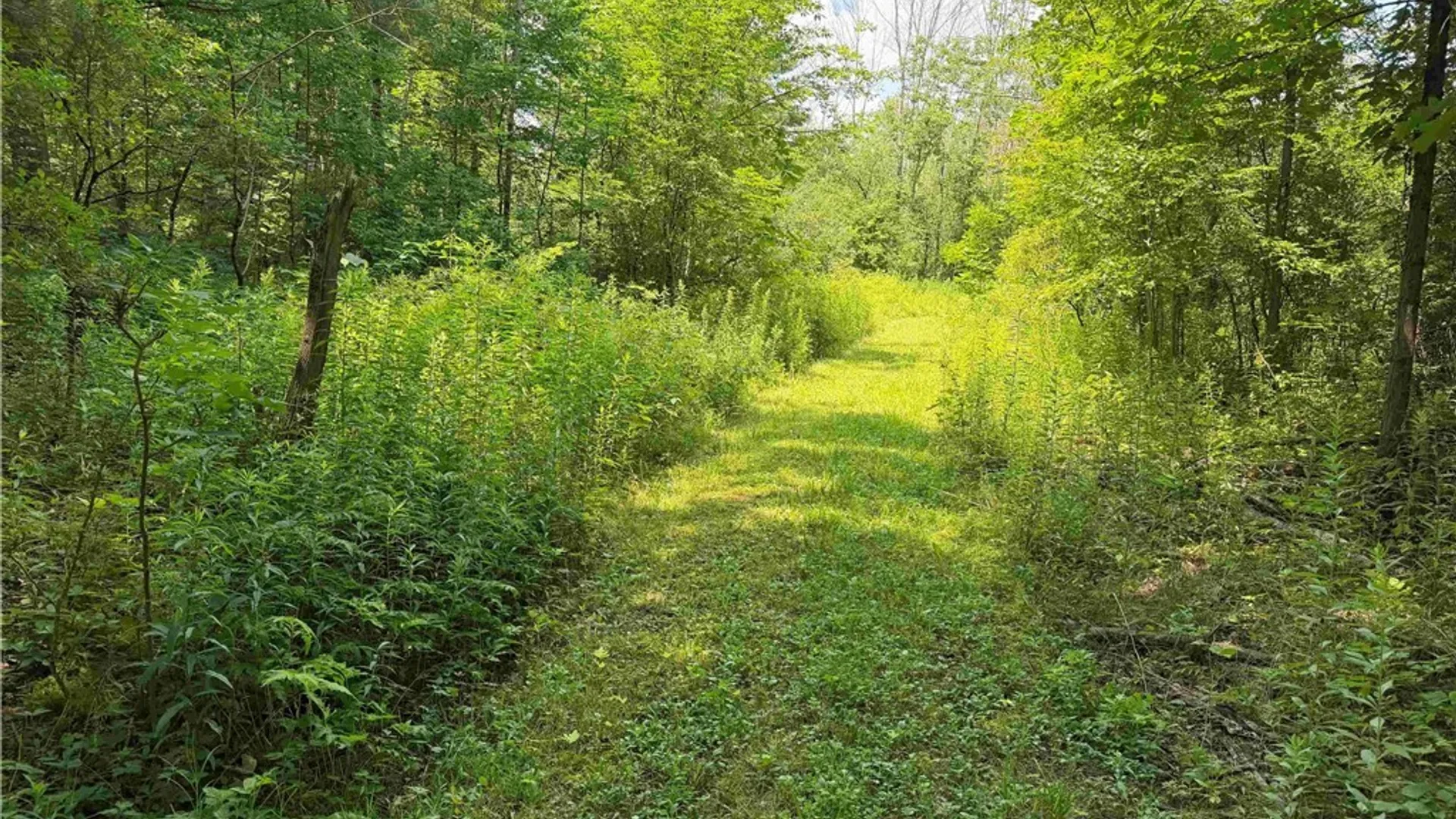 Property at Cr-17, Belfast, NY 14711 9