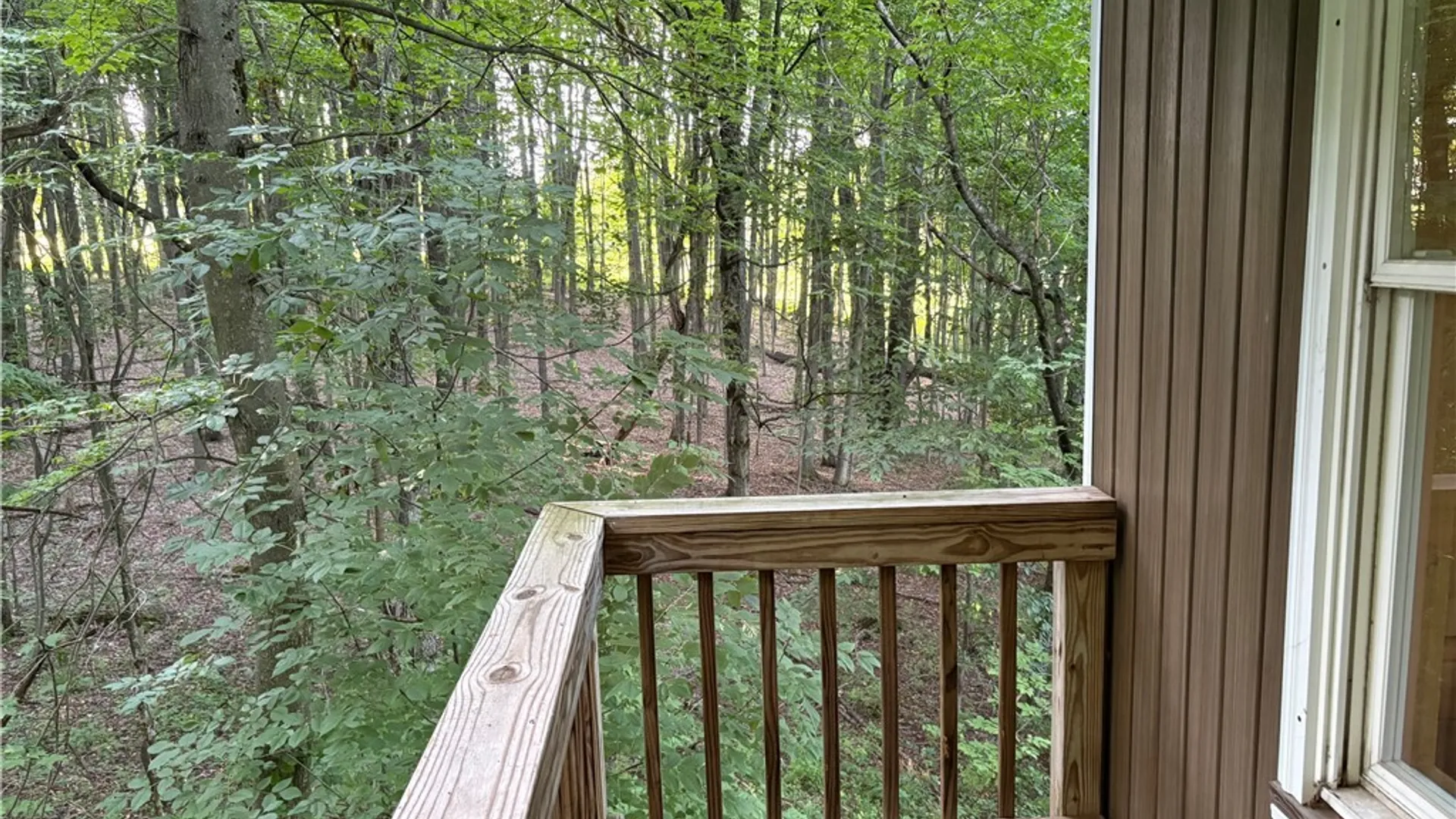 Property at 6365 Youngers Road, Eagle, NY 14024 48