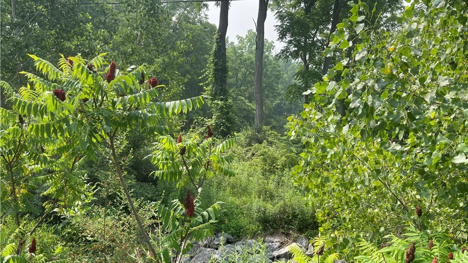 Property at 9488 Rt-90, Genoa, NY 13071 2