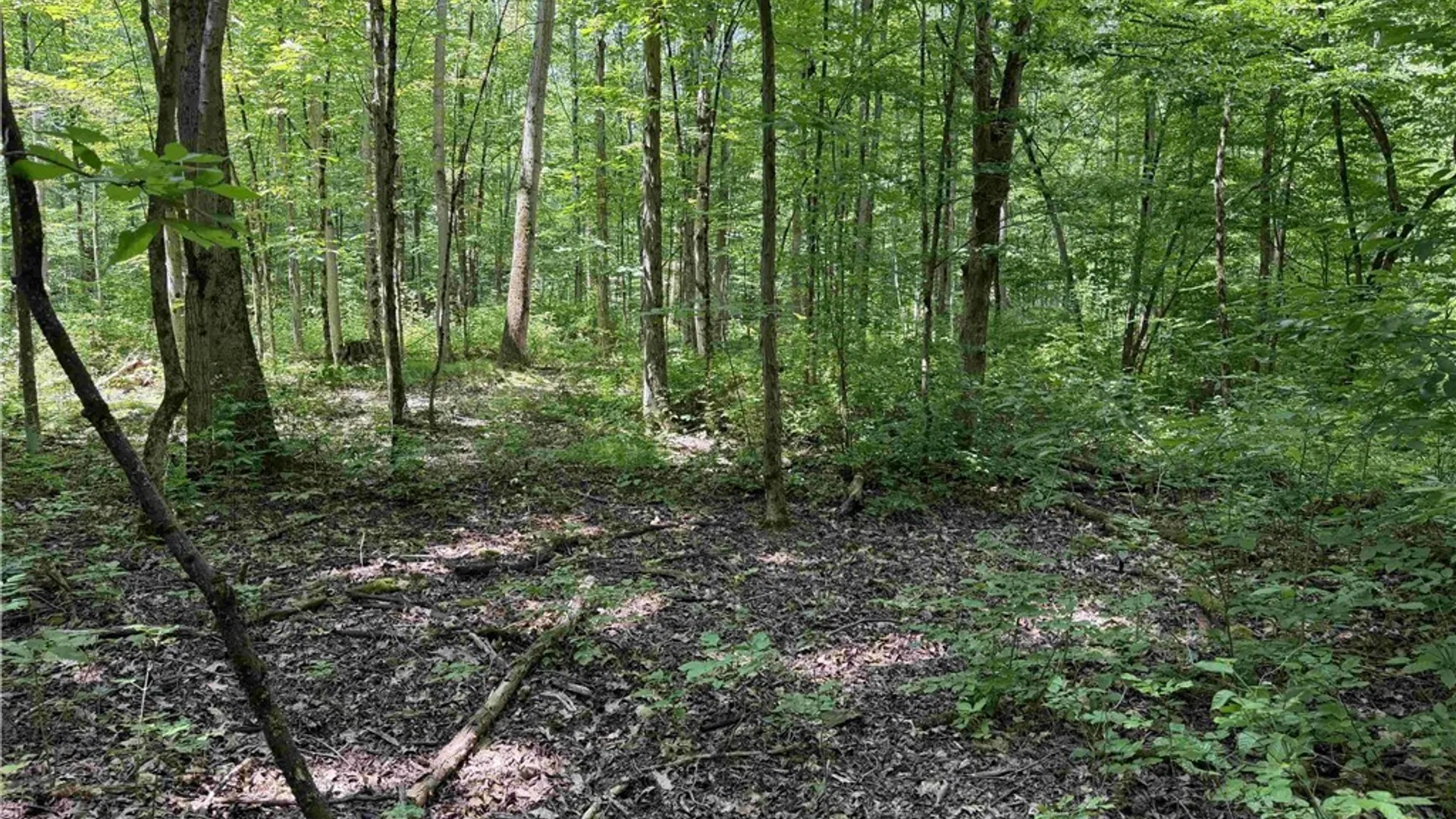 Property at Cr-17, Belfast, NY 14711 11