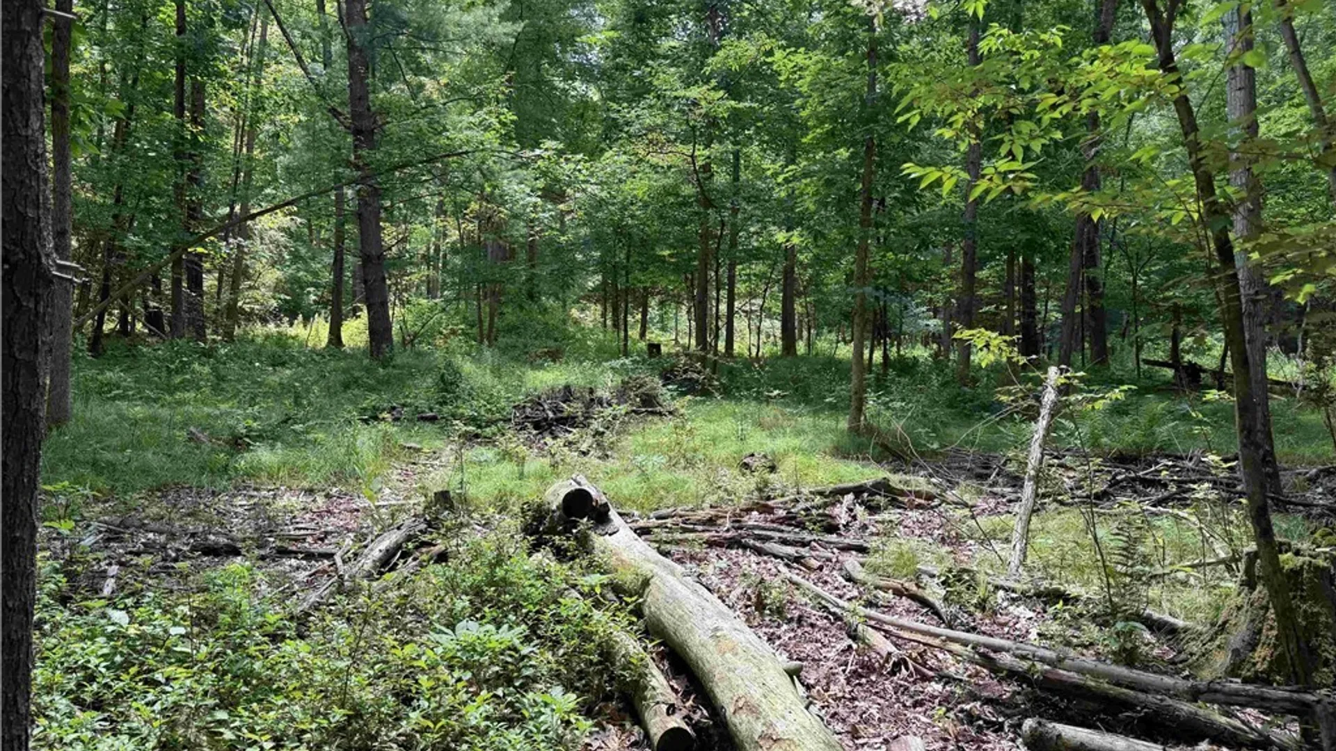 Property at Cr-17, Belfast, NY 14711 14