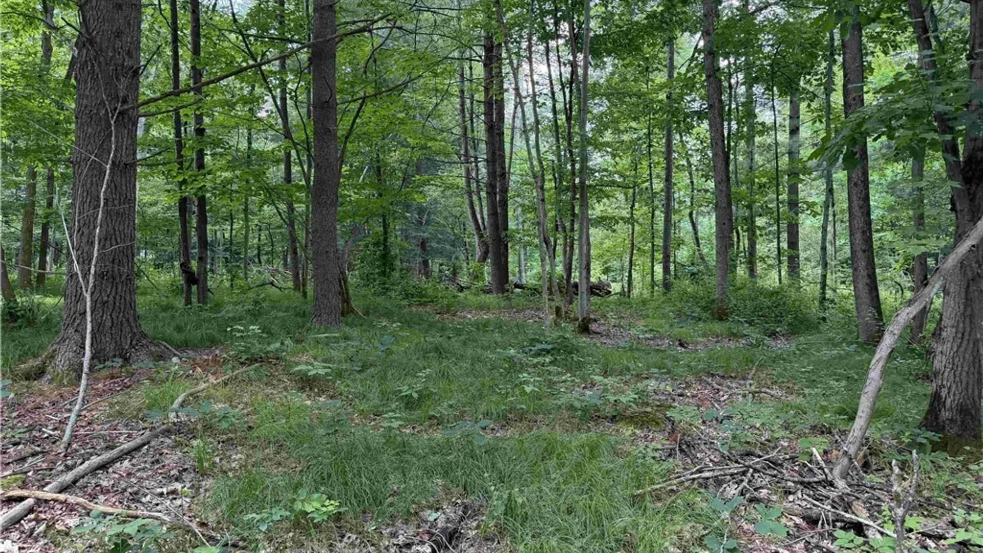 Property at Cr-17, Belfast, NY 14711 15