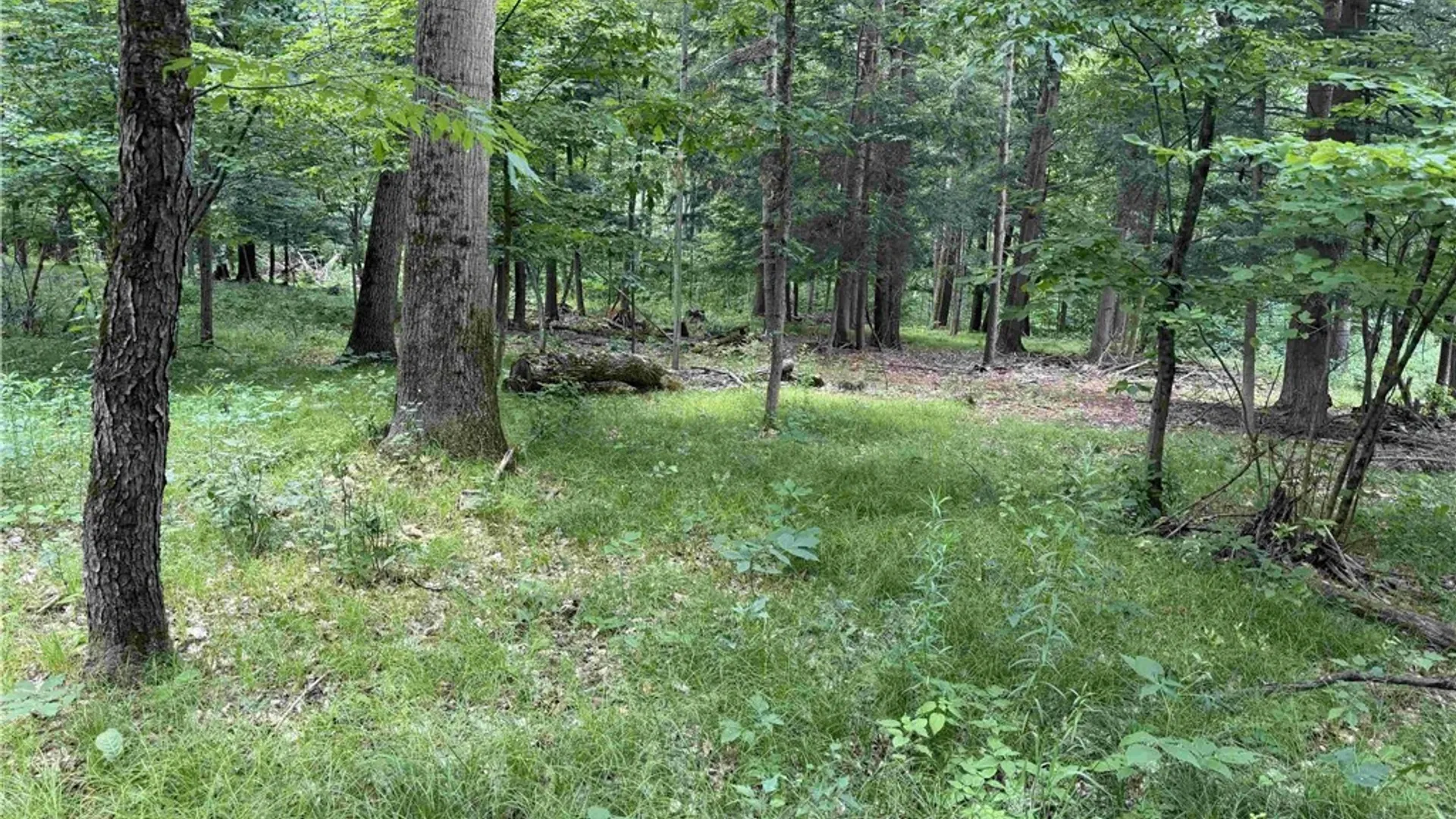 Property at Cr-17, Belfast, NY 14711 17