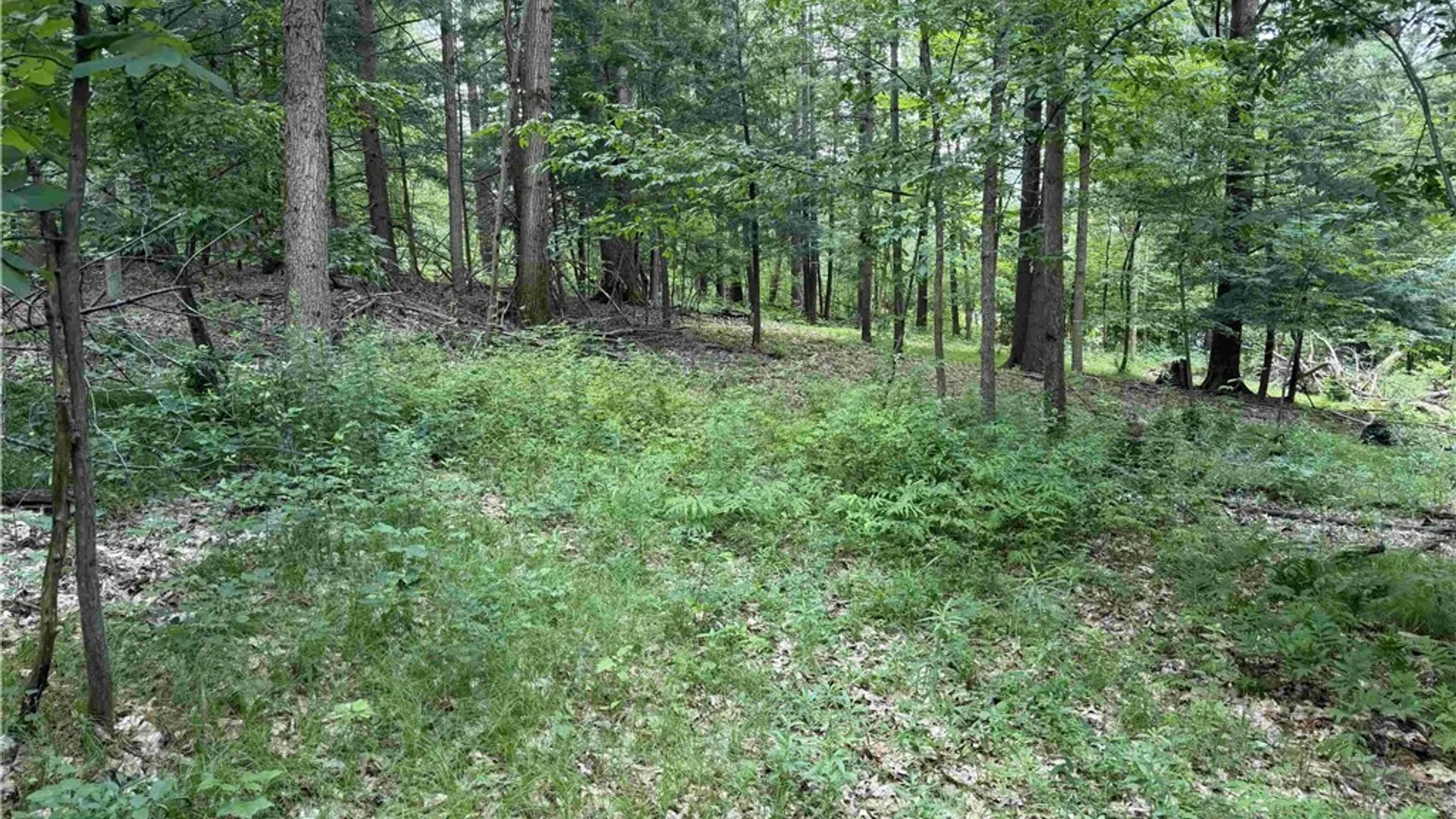 Property at Cr-17, Belfast, NY 14711 19