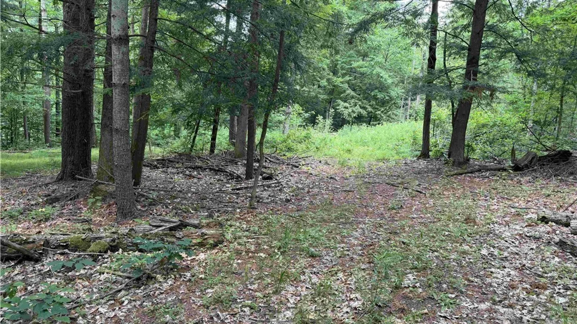 Property at Cr-17, Belfast, NY 14711 20