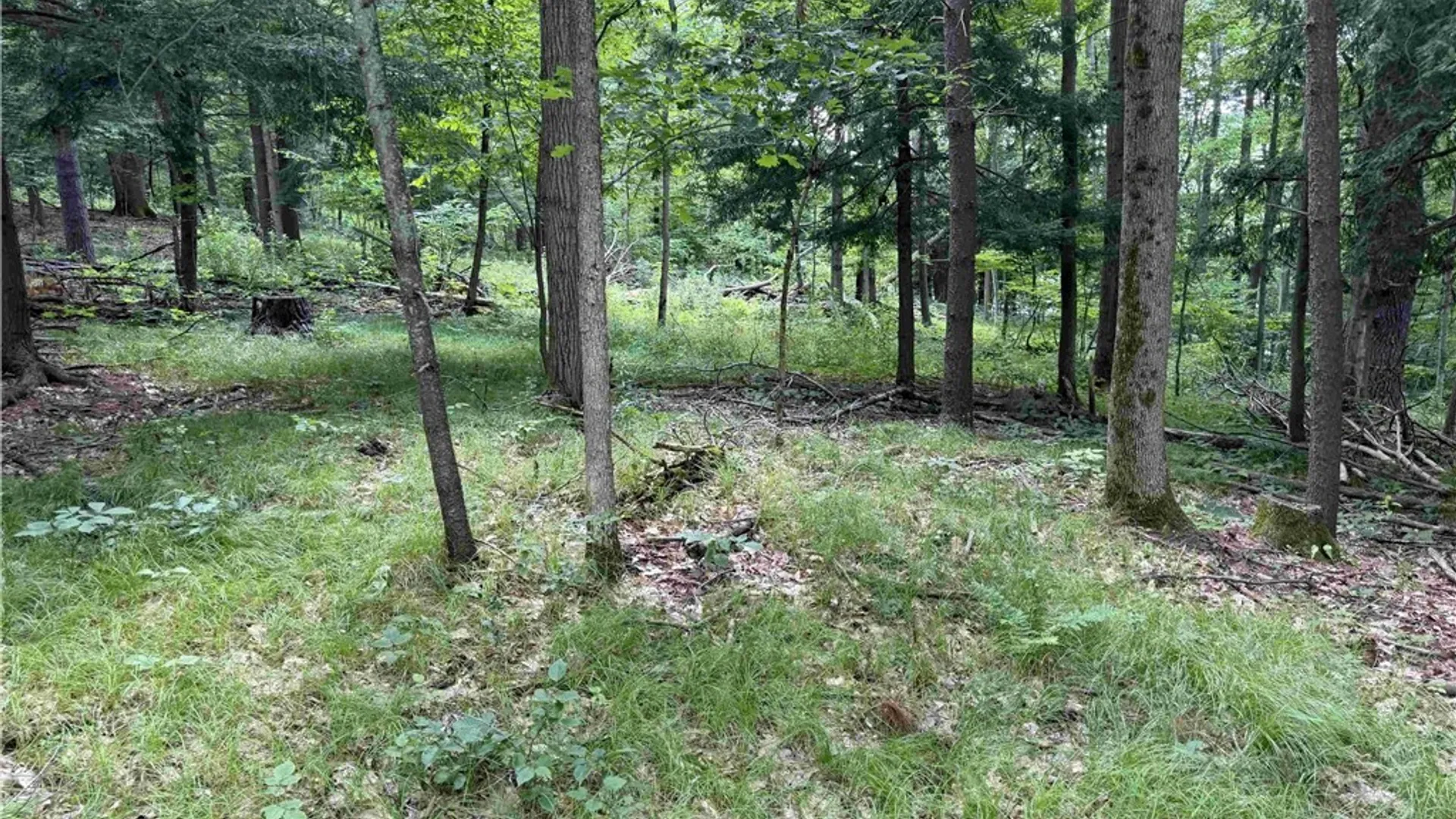 Property at Cr-17, Belfast, NY 14711 21