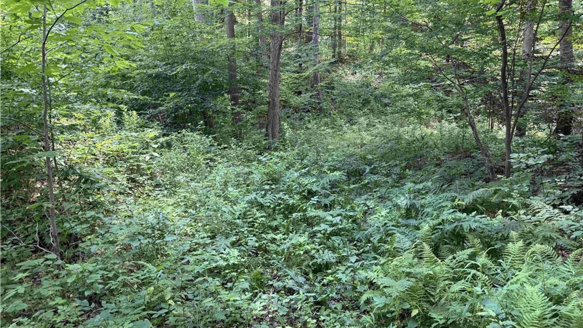 Property at Cr-17, Belfast, NY 14711 23
