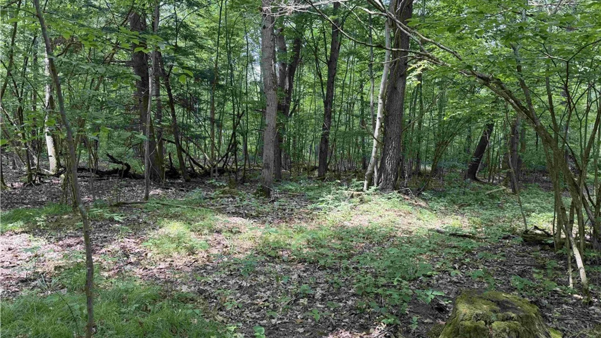Property at Cr-17, Belfast, NY 14711 3