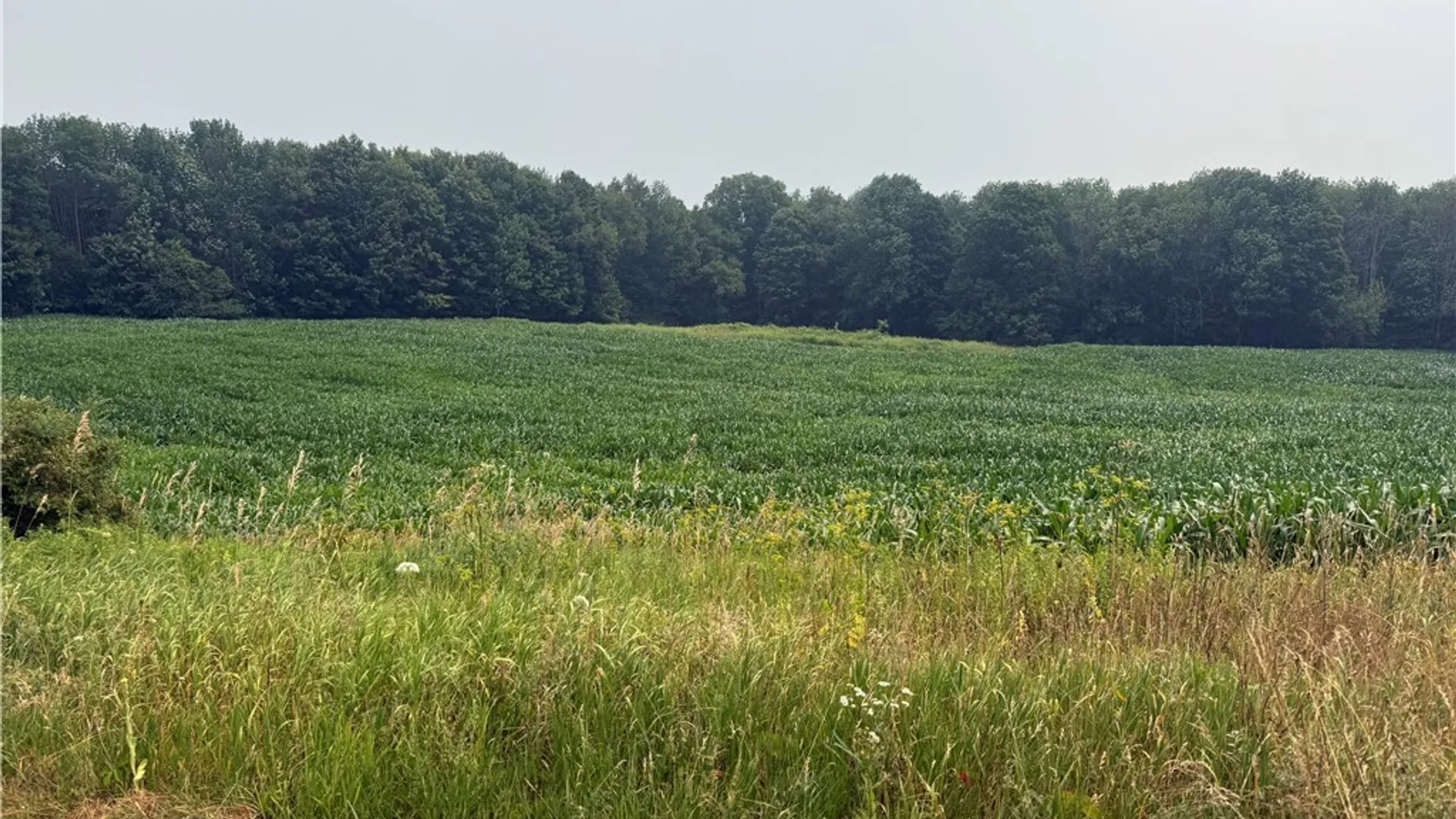Property at Whiskey Lane, Turin, NY 13473 2
