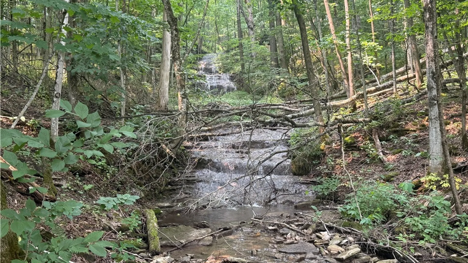 Property at Whiskey Lane, Turin, NY 13473 5
