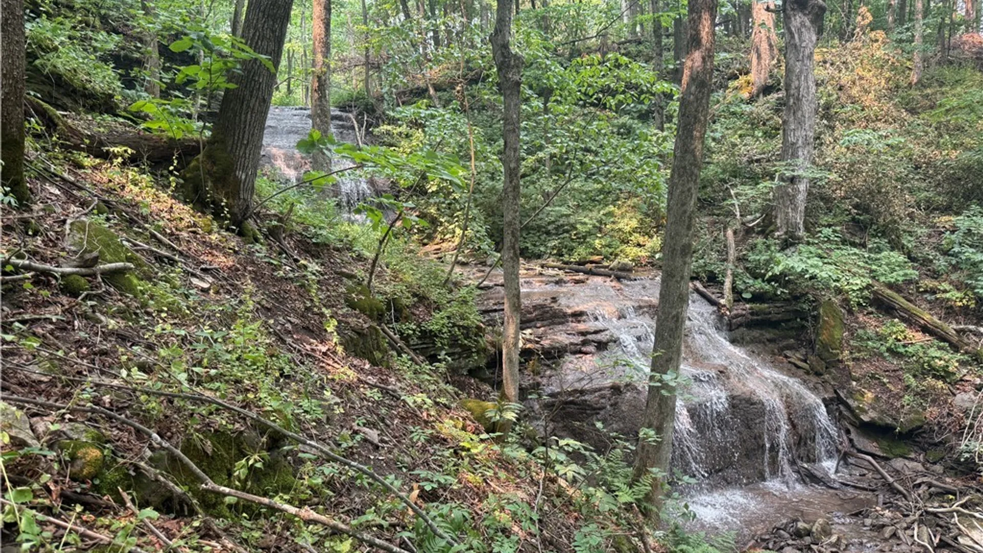 Property at Whiskey Lane, Turin, NY 13473 6