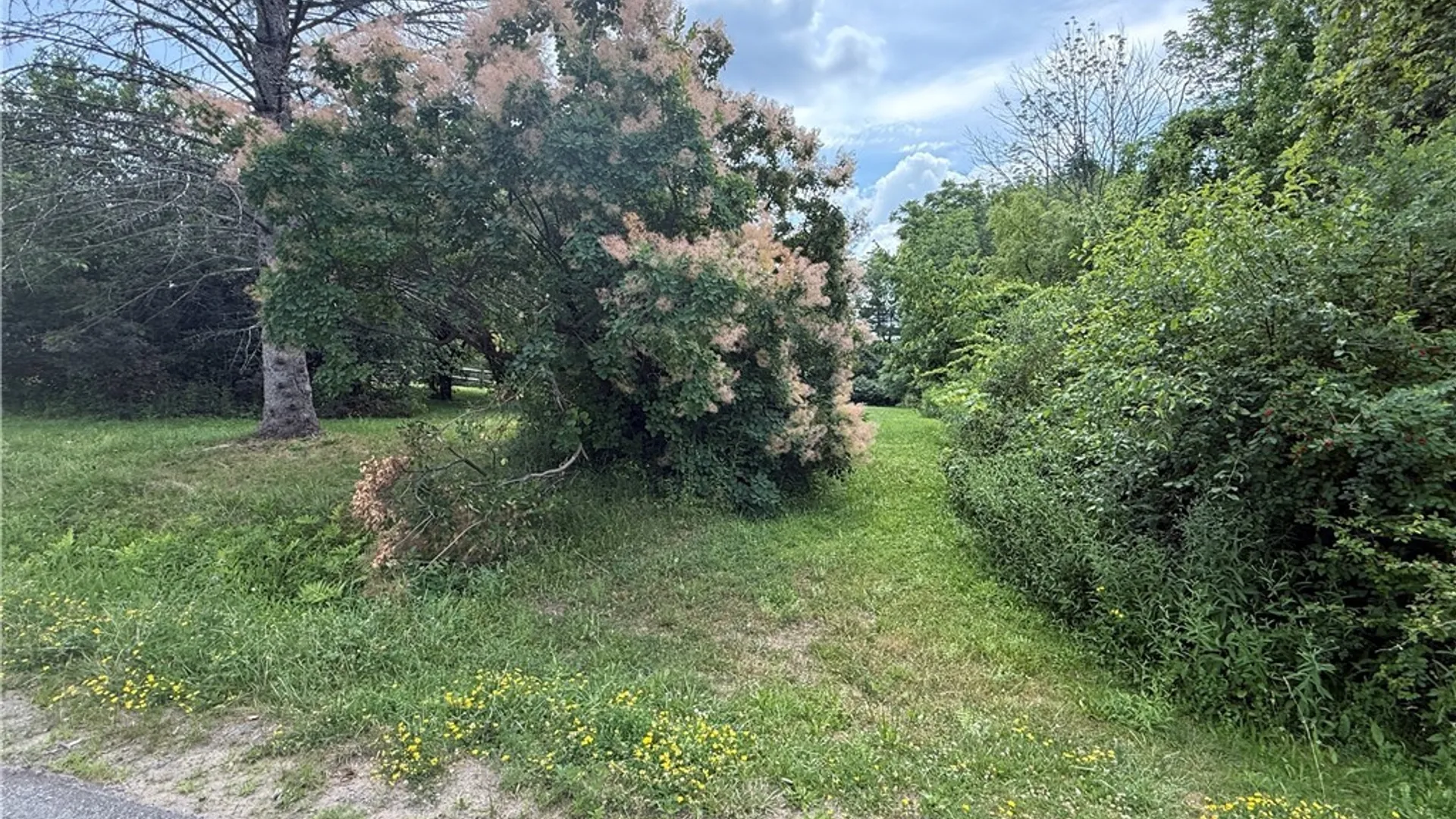 Property at Prescott Road, Deerfield, NY 13502 4