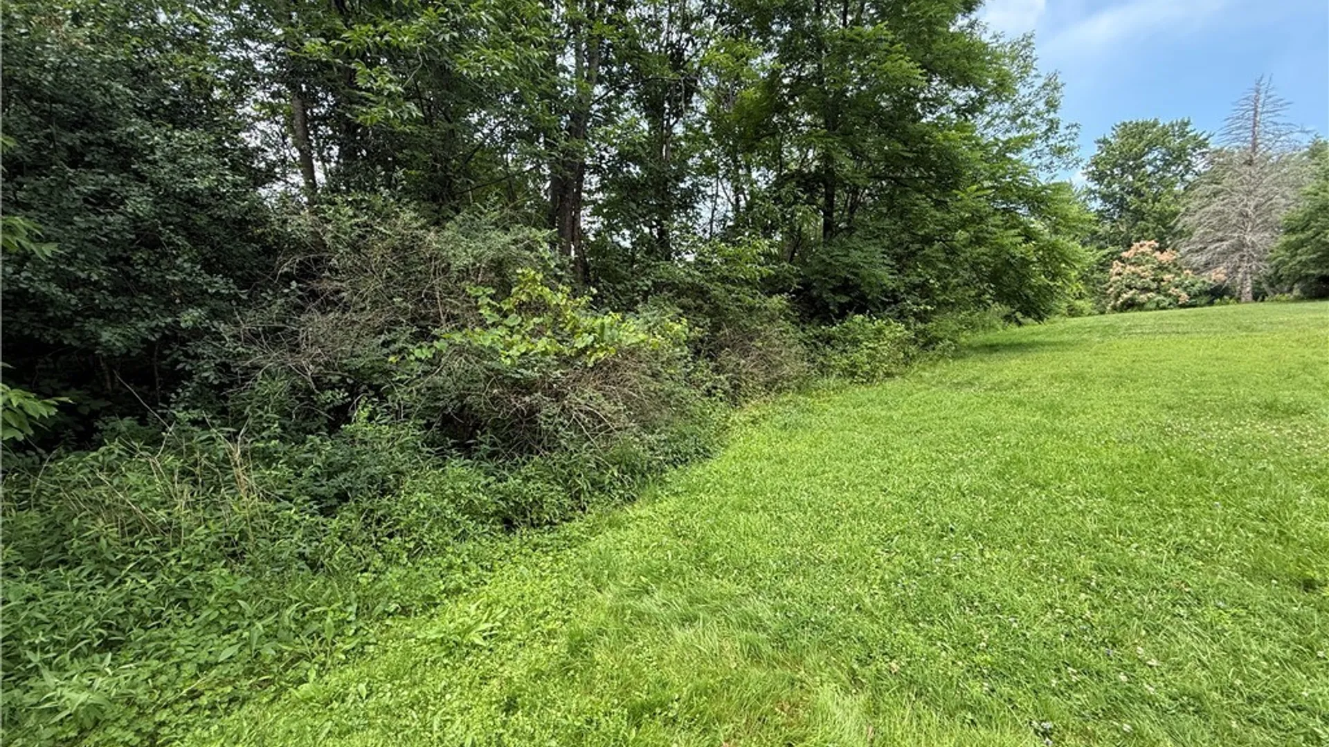 Property at Prescott Road, Deerfield, NY 13502 5