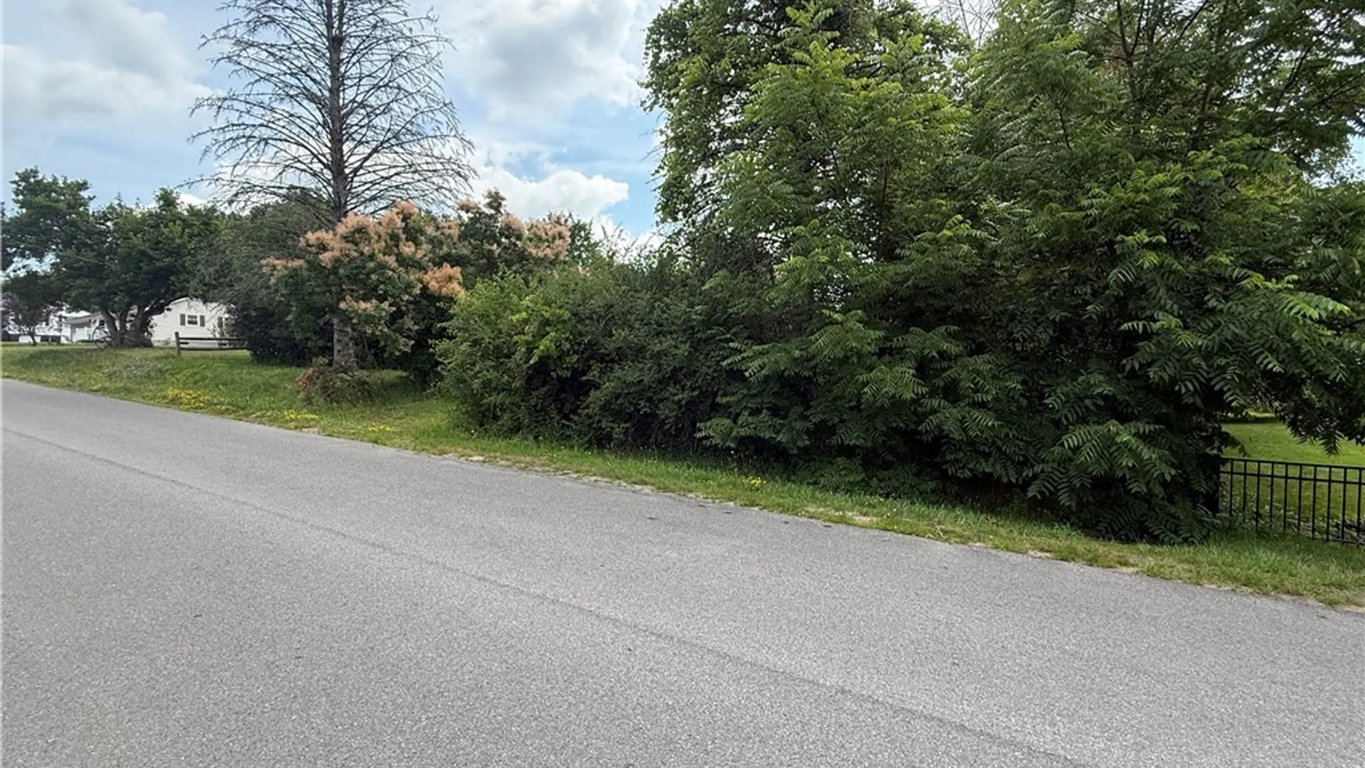 Property at Prescott Road, Deerfield, NY 13502 7