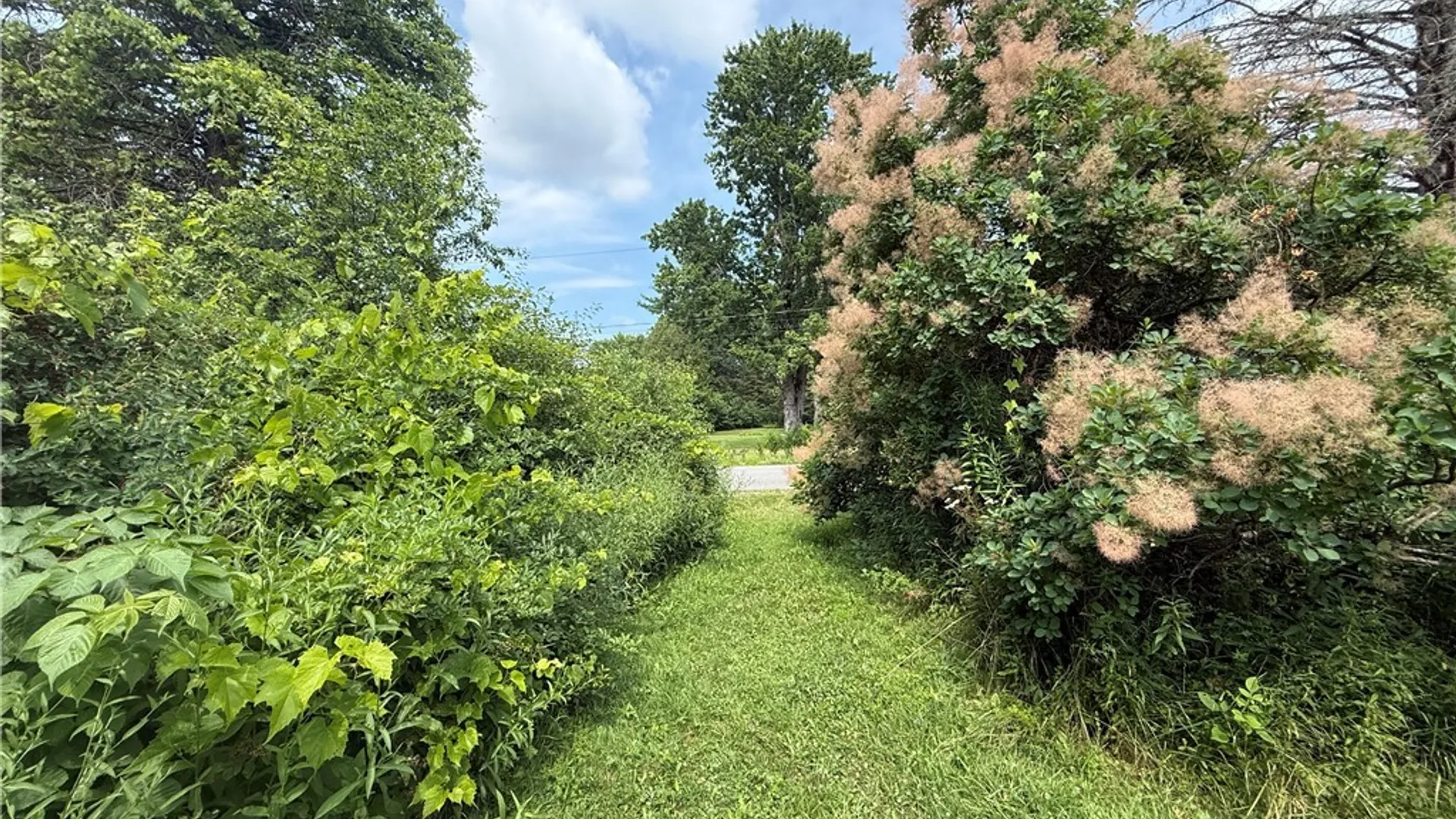 Property at Prescott Road, Deerfield, NY 13502 11