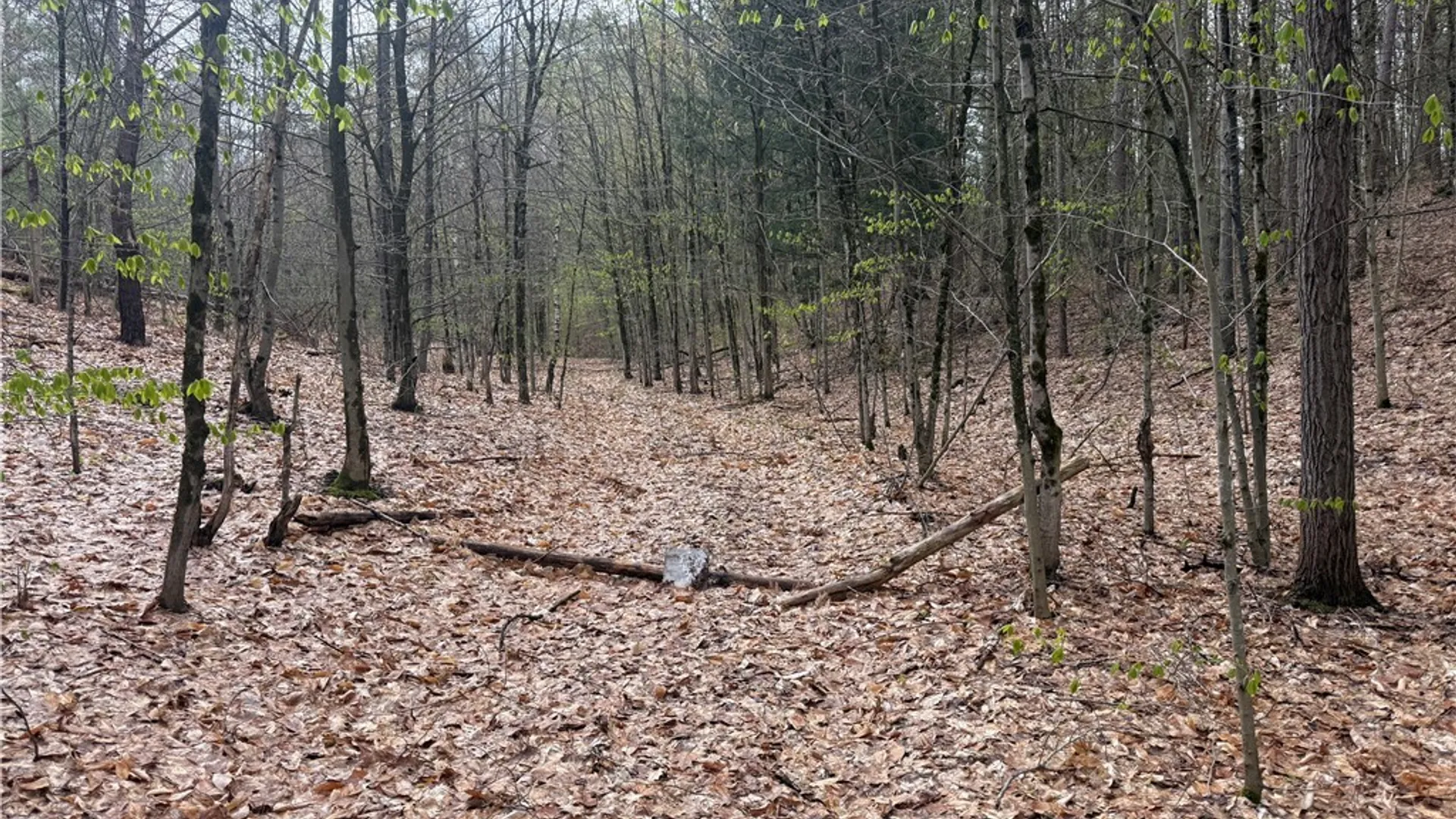 Property at Town Line Road, Lyonsdale, NY 13368 2