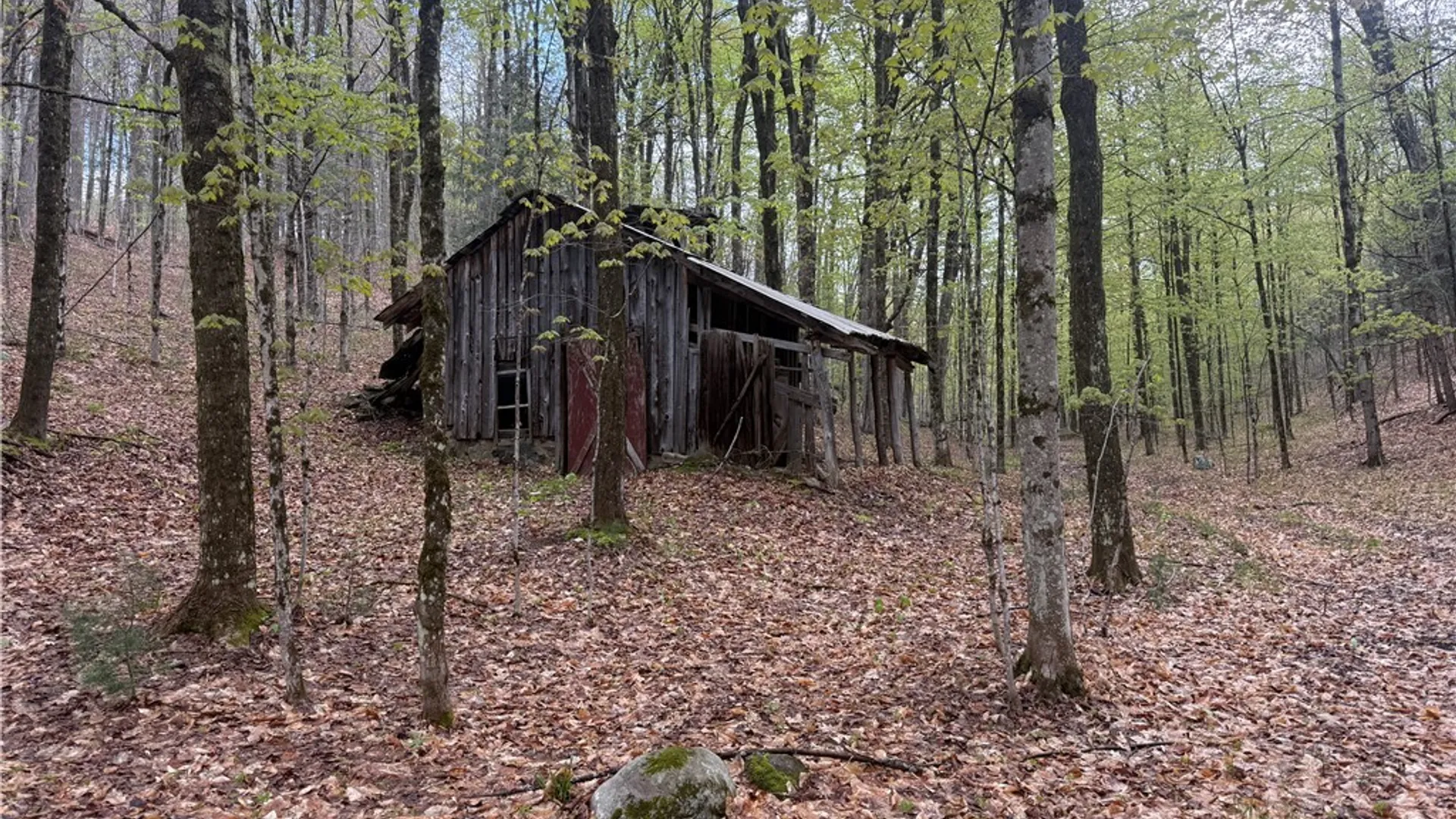 Property at Town Line Road, Lyonsdale, NY 13368 4