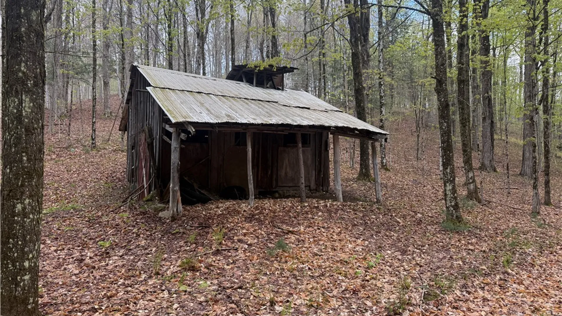 Property at Town Line Road, Lyonsdale, NY 13368 5