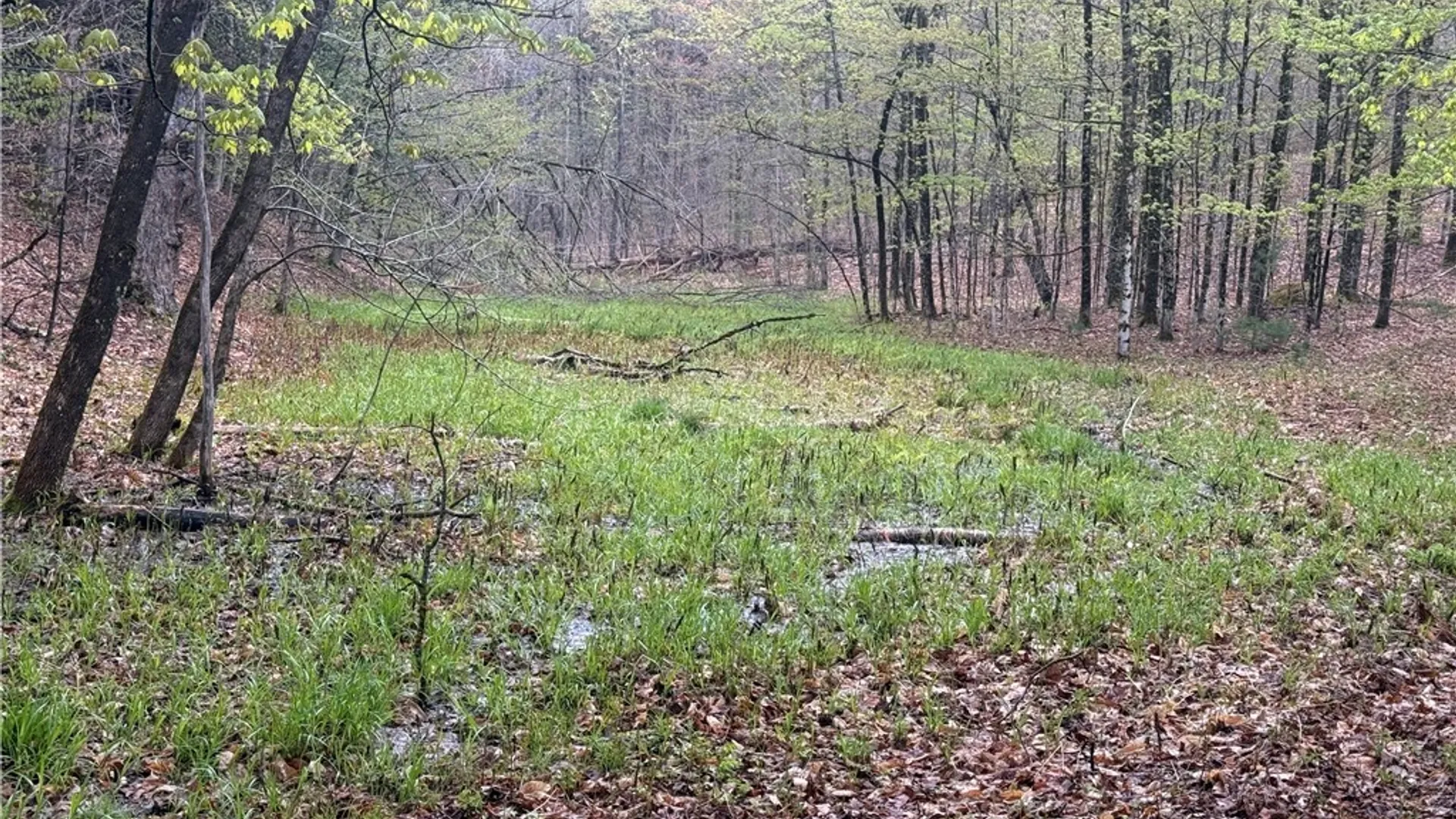 Property at Town Line Road, Lyonsdale, NY 13368 6
