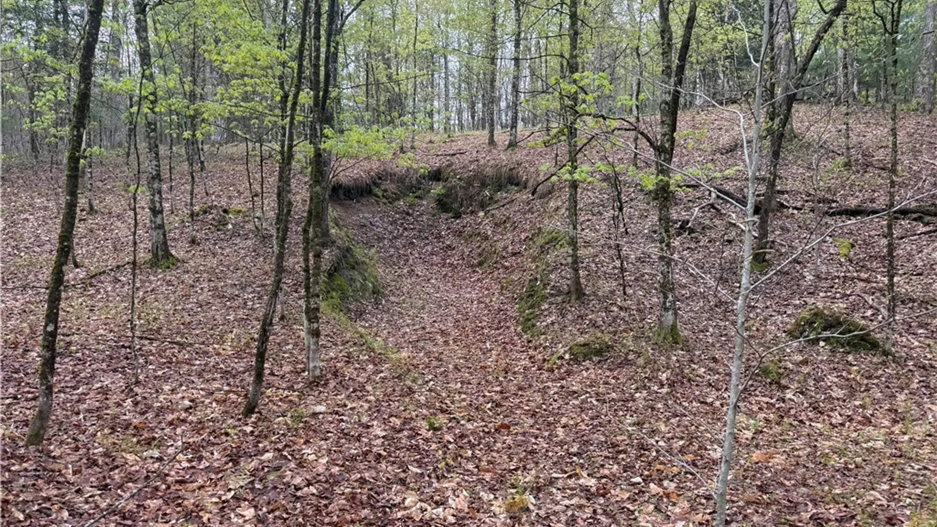 Property at Town Line Road, Lyonsdale, NY 13368 7